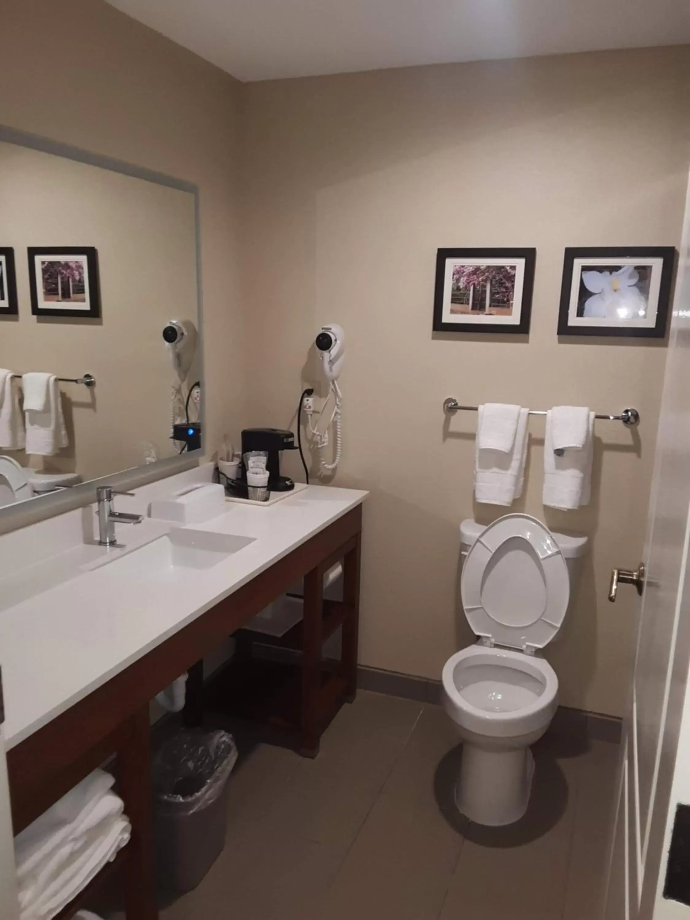 Bathroom in Comfort Inn & Suites Grenada