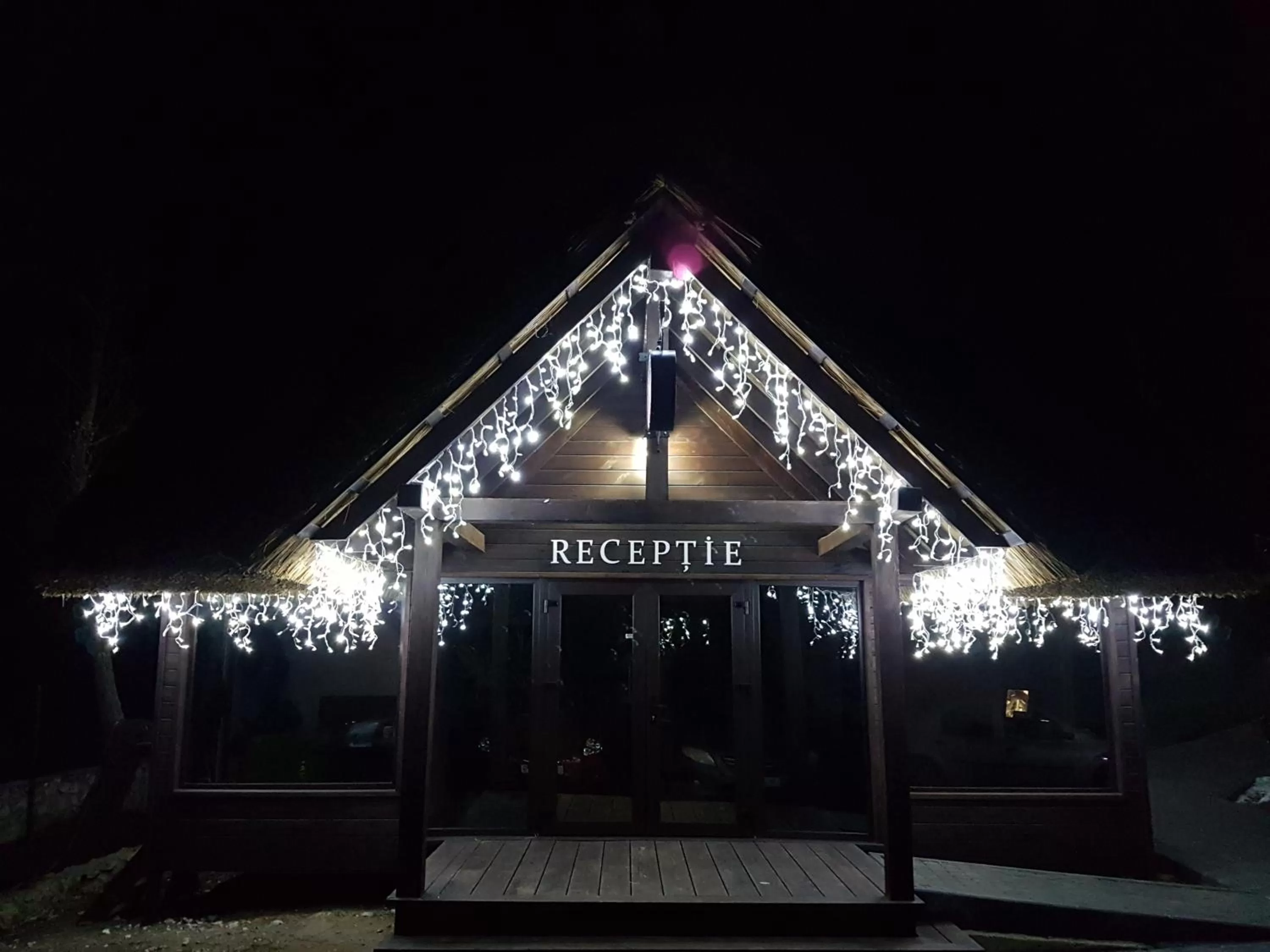 Property Building in Tree House Relax Park