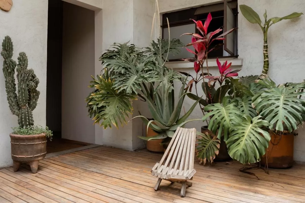 Other in Casa Lomah Hotel