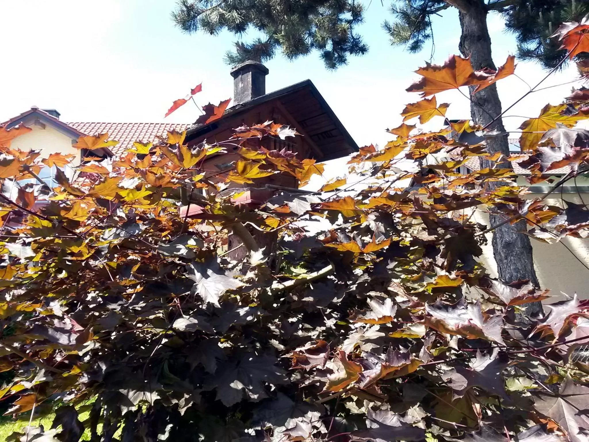 View (from property/room) in Kurhotel Anders