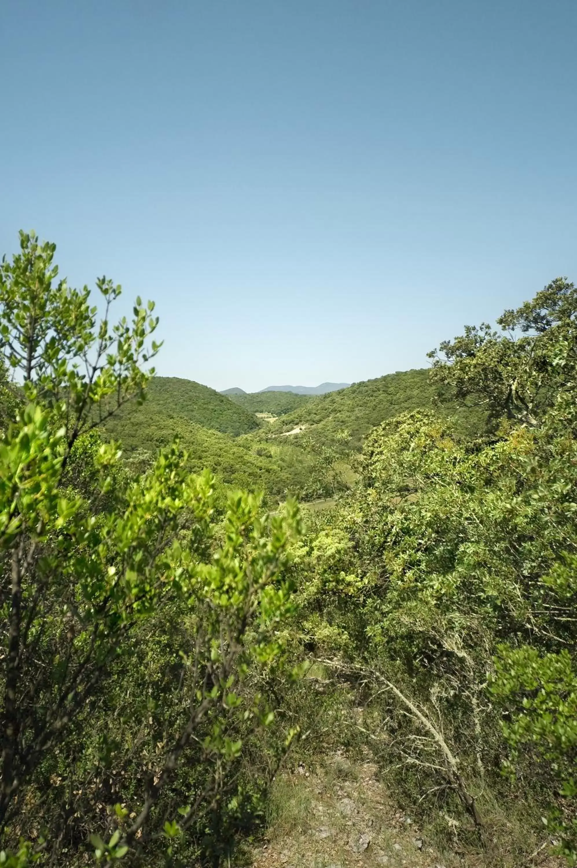 Bird's eye view in La Vieille Maison - Halte Gourmande