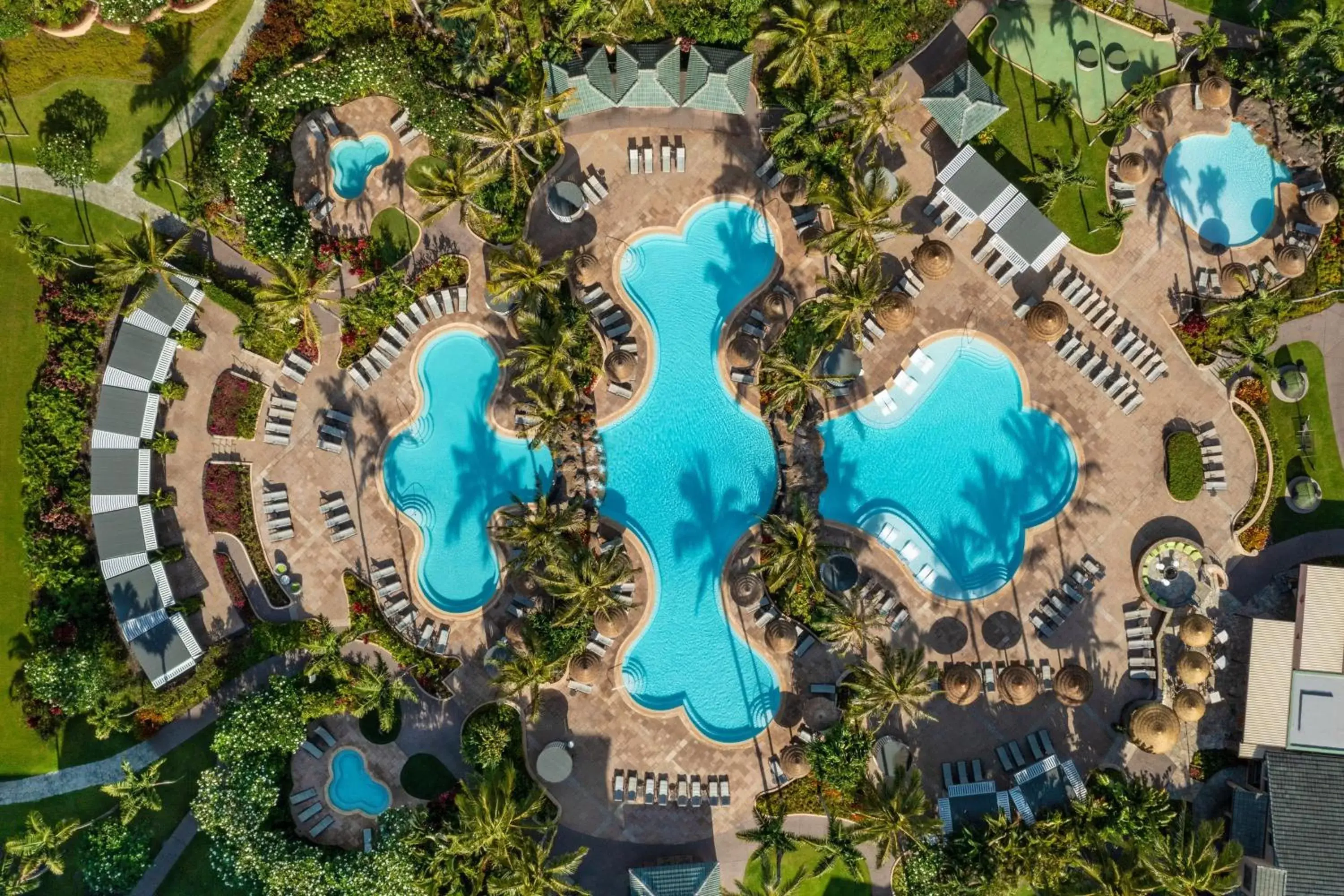 Swimming pool, Bird's-eye View in The Ritz-Carlton Maui, Kapalua