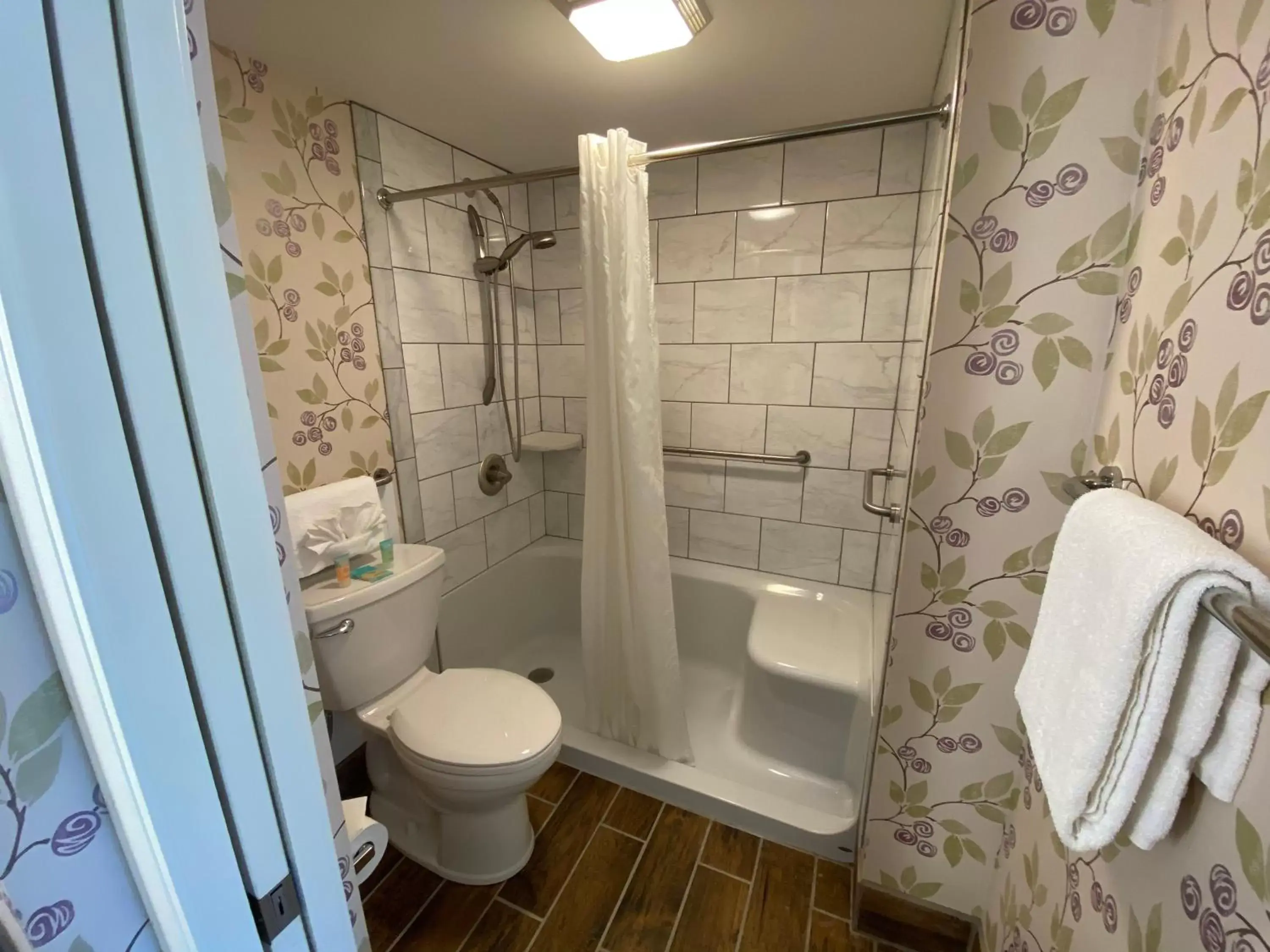 Shower, Bathroom in Cascades Inn