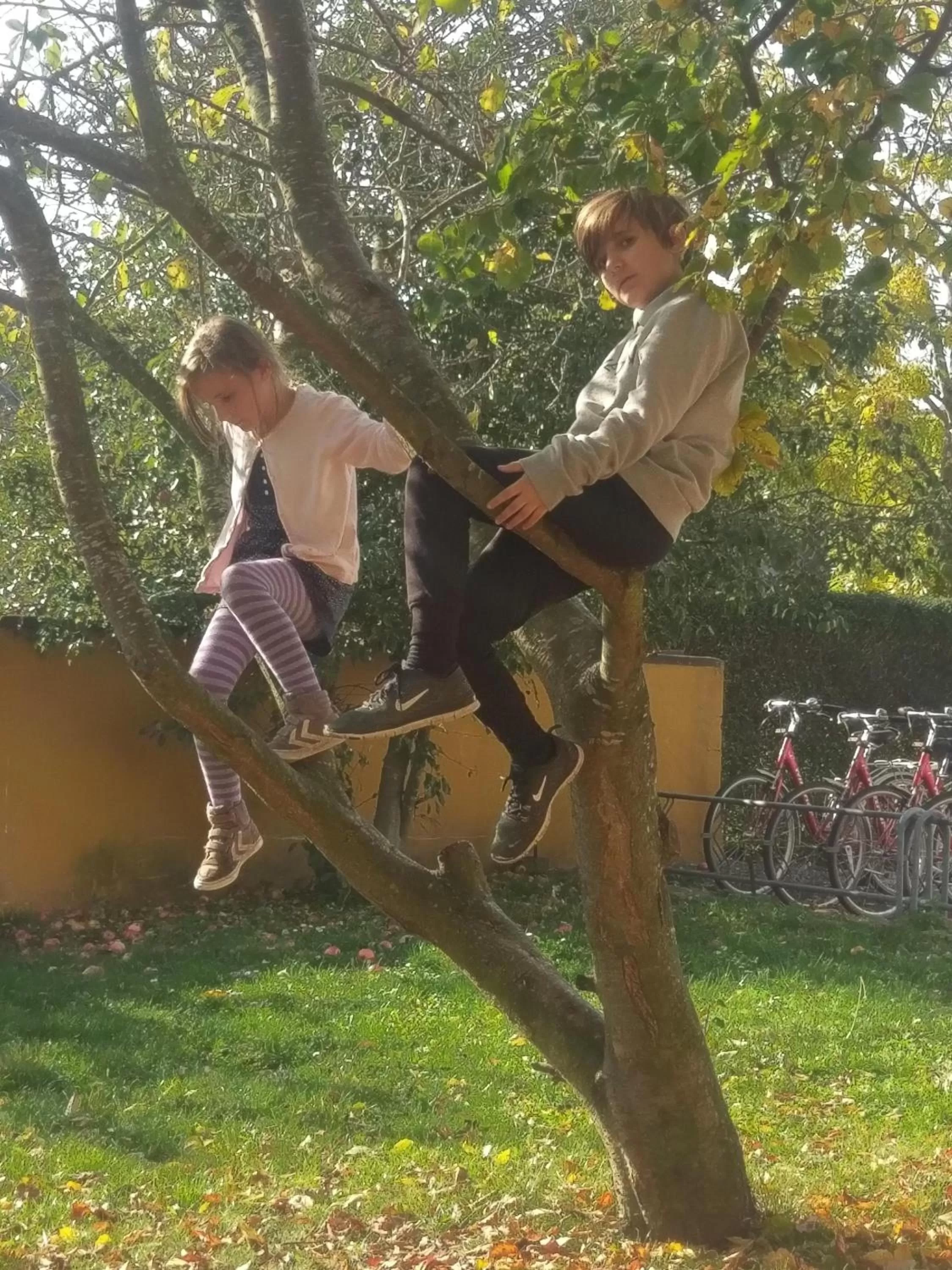 Garden in Kanns Hotel