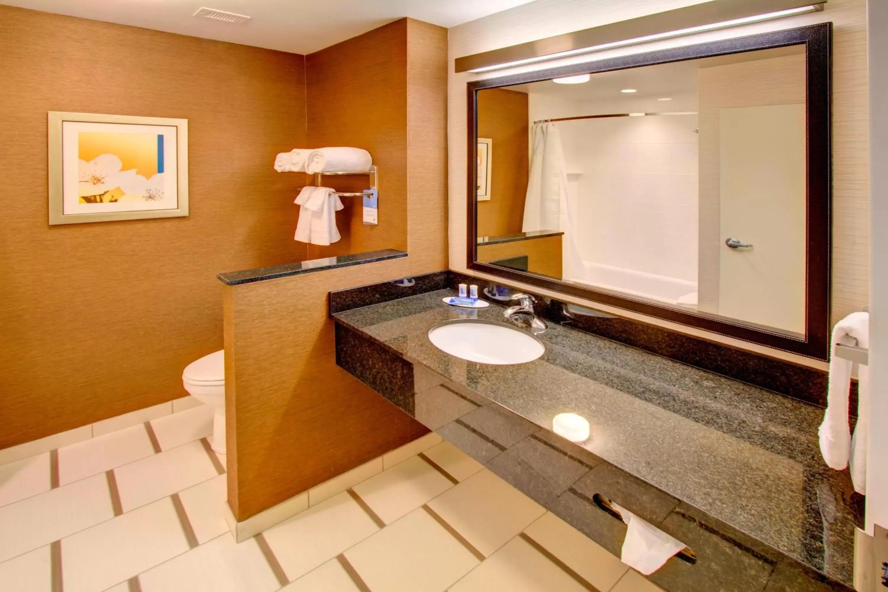 Bathroom in Fairfield Inn & Suites by Marriott Rehoboth Beach