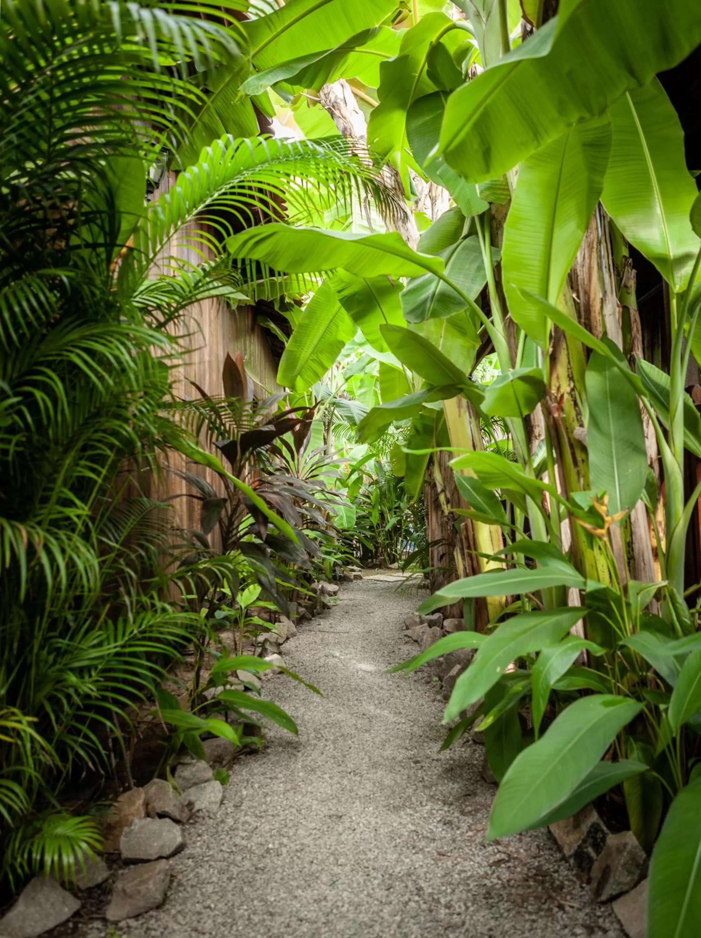Garden in Authentic Khmer Village Resort