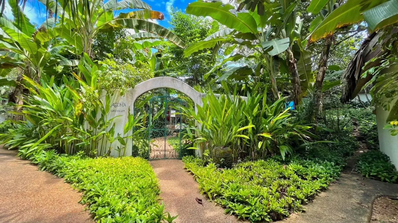 Fitness centre/facilities, Garden in Coco Grove Beach Resort, Siquijor Island