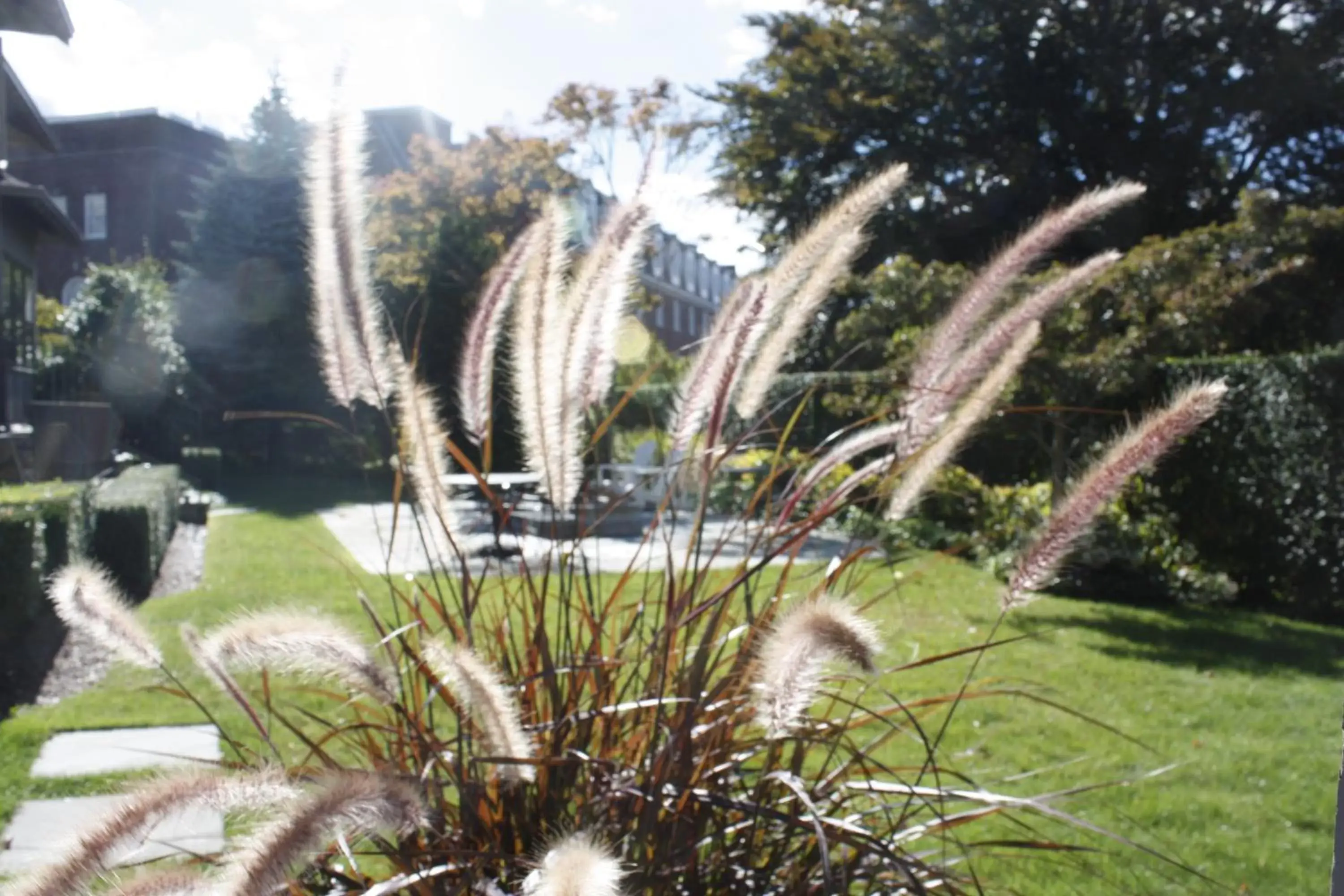 Day, Garden in Hilltop Inn