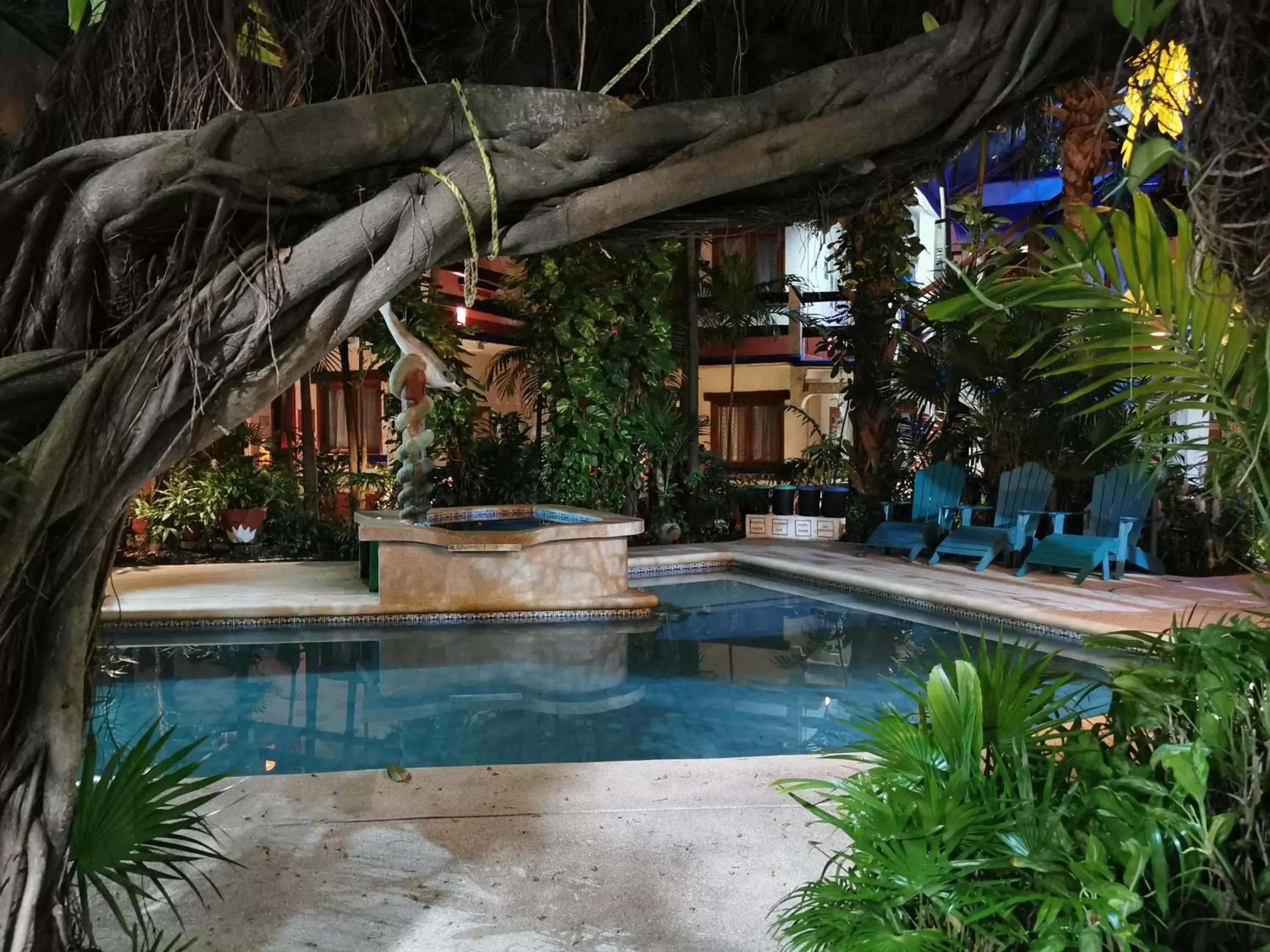 Swimming Pool in Eco-hotel El Rey del Caribe