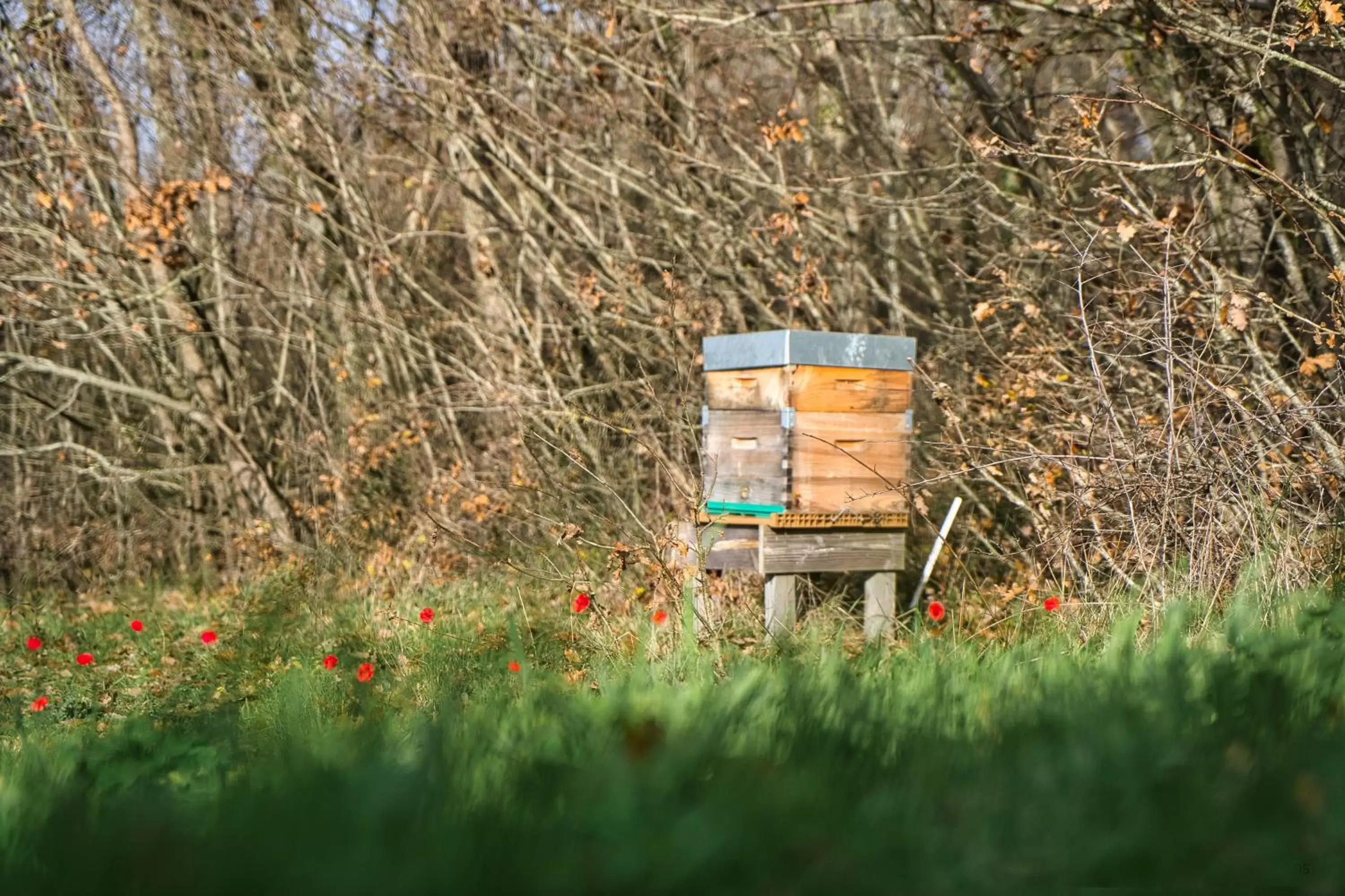 Spring in Le domaine de la Rivalière