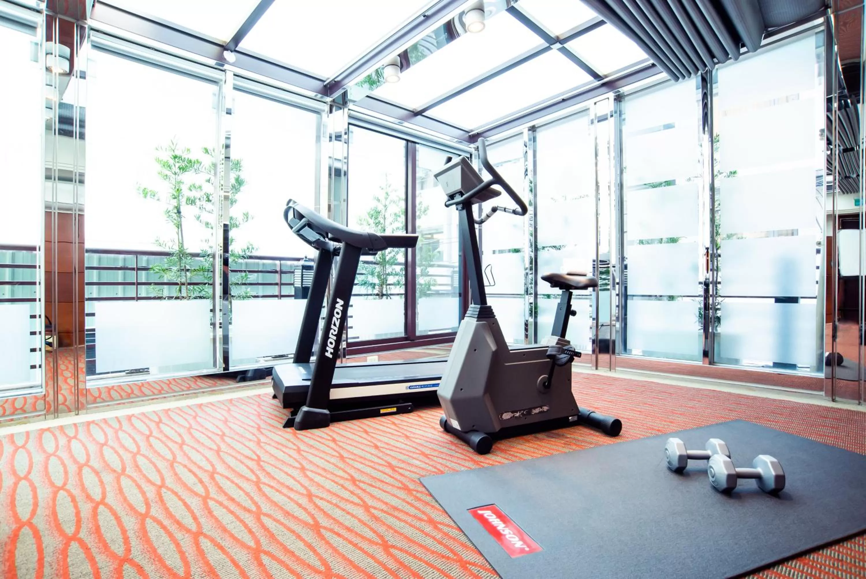 Fitness centre/facilities in Hotel Dion