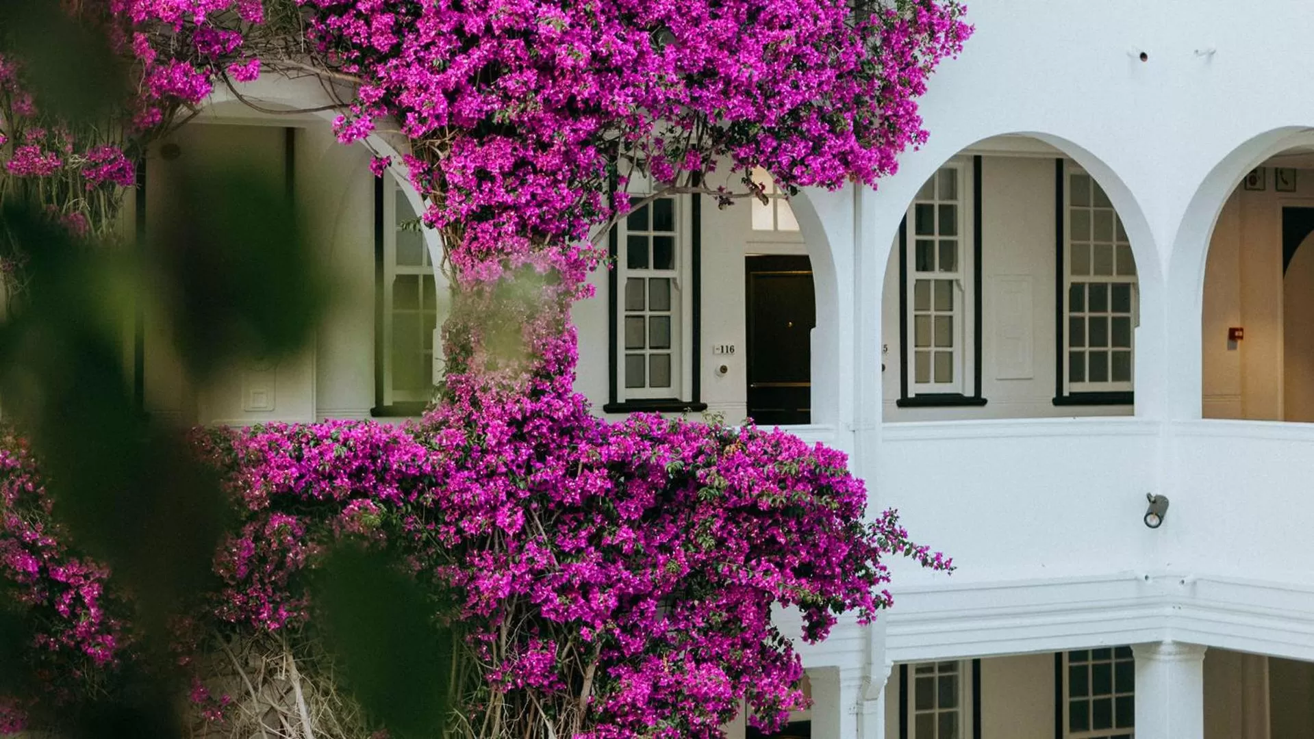 Property building in The Winchester Hotel by NEWMARK