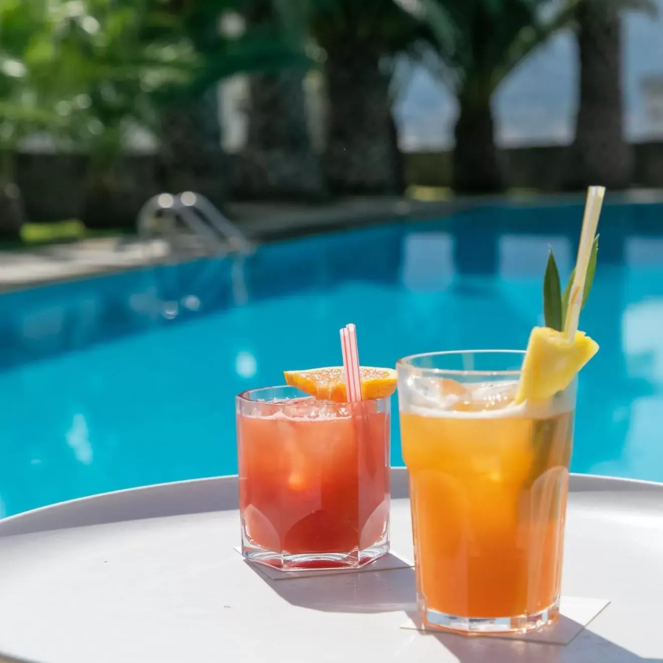 Garden, Swimming Pool in Forte de São Francisco Hotel Chaves