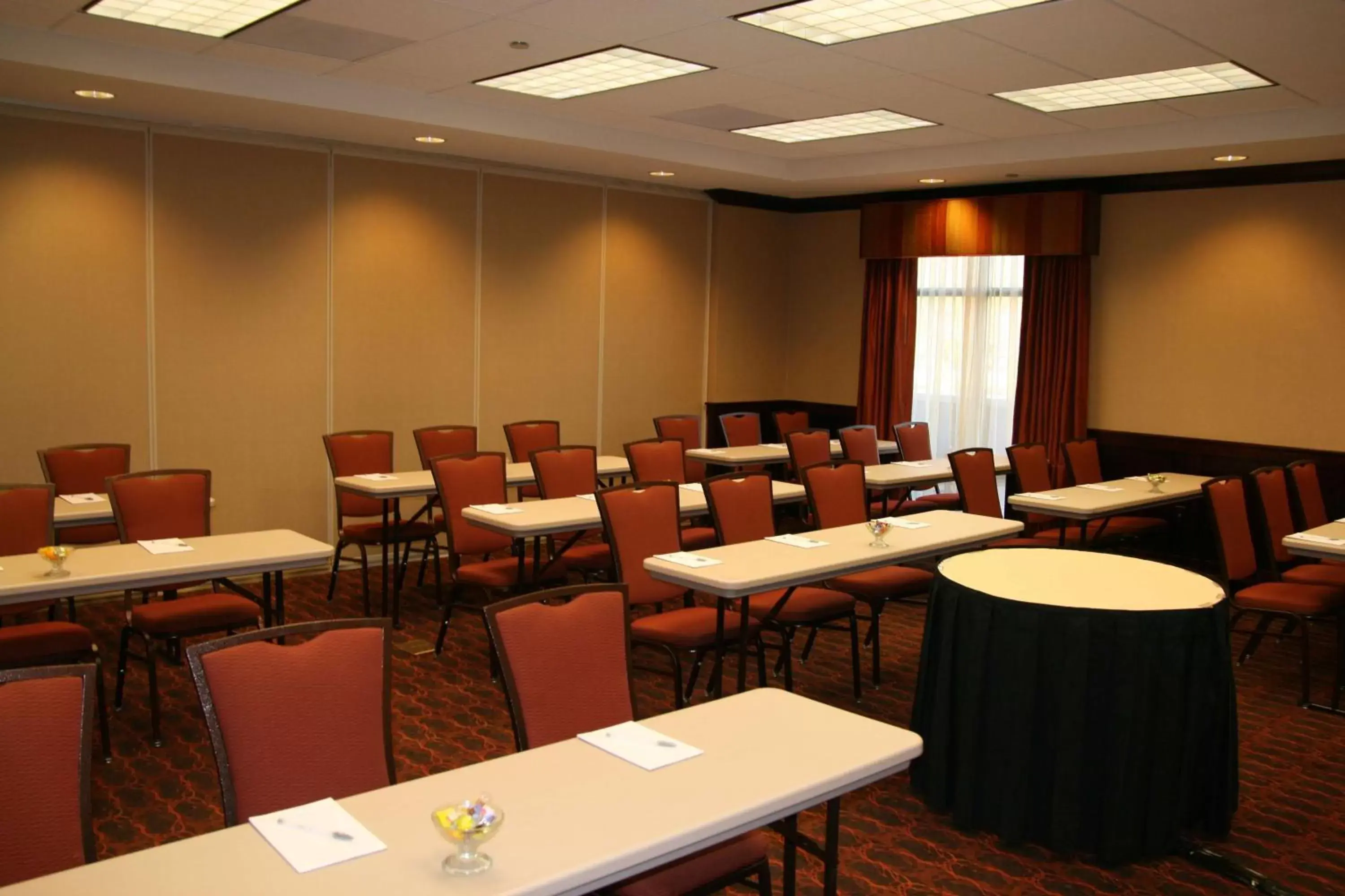 Meeting/conference room in Hampton Inn Rochester-Webster