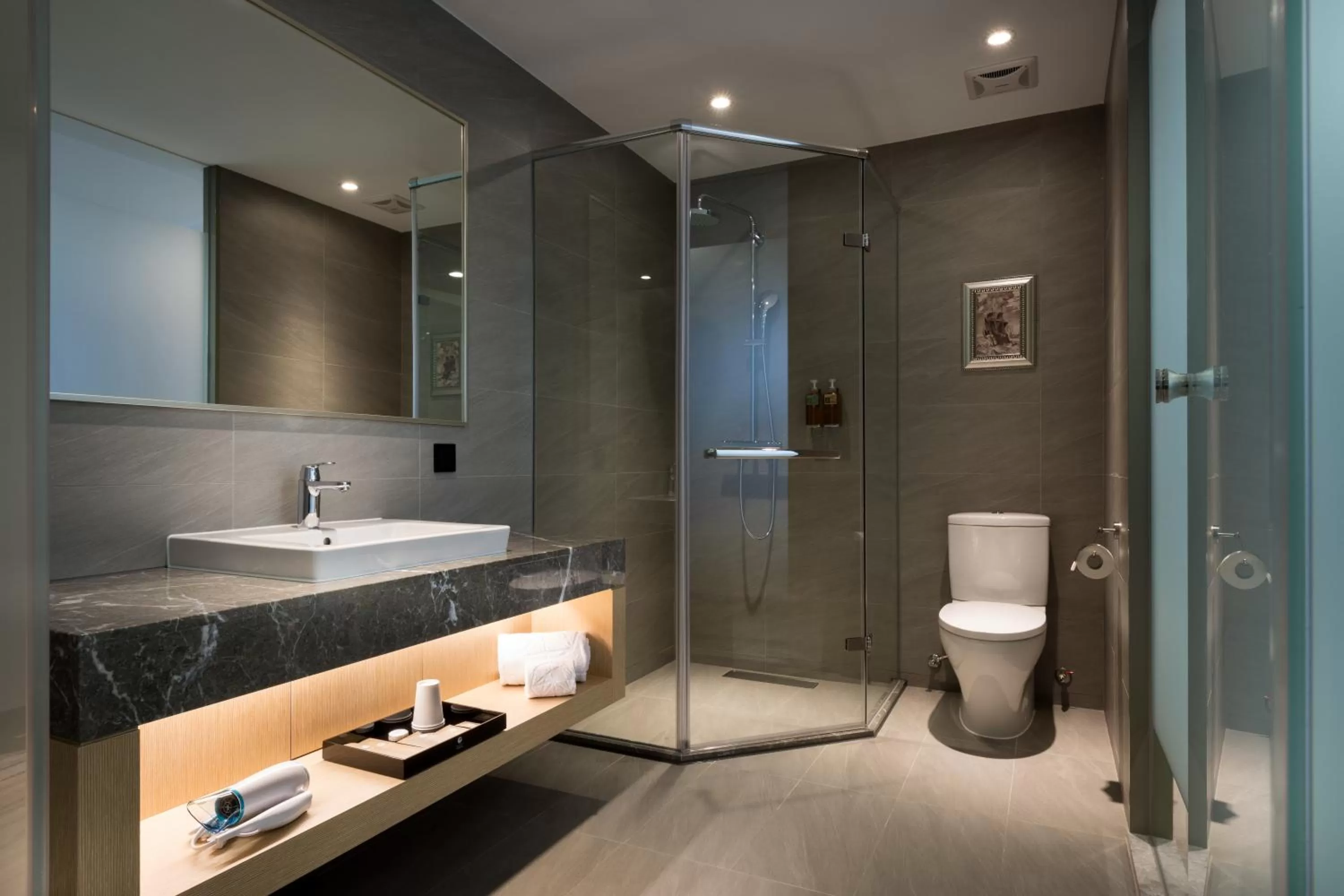 Shower in 台南星鑽國際商旅 Hua Hotel