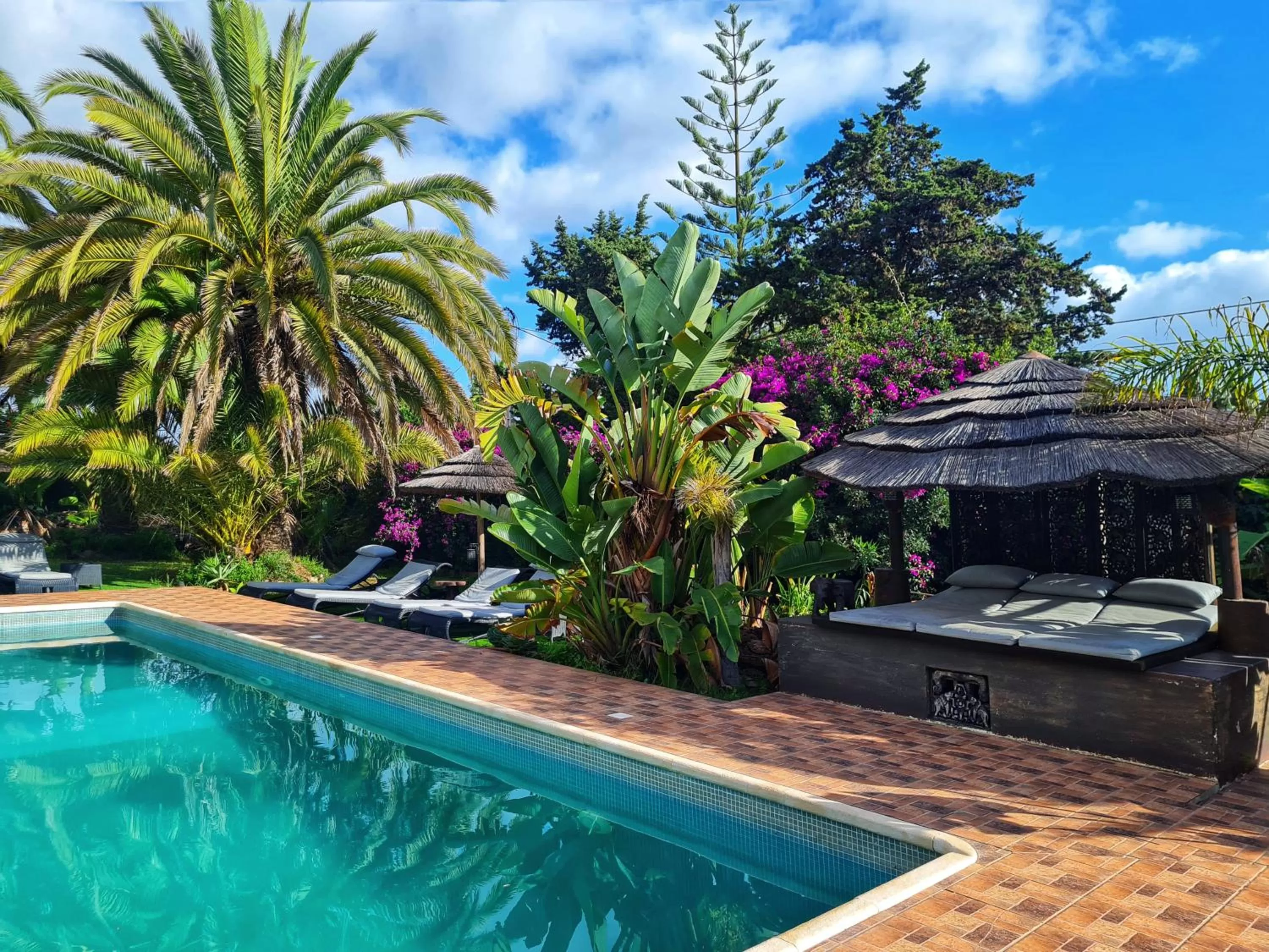 Garden, Swimming Pool in Villa Paraiso - Naturism Optional Adults Only