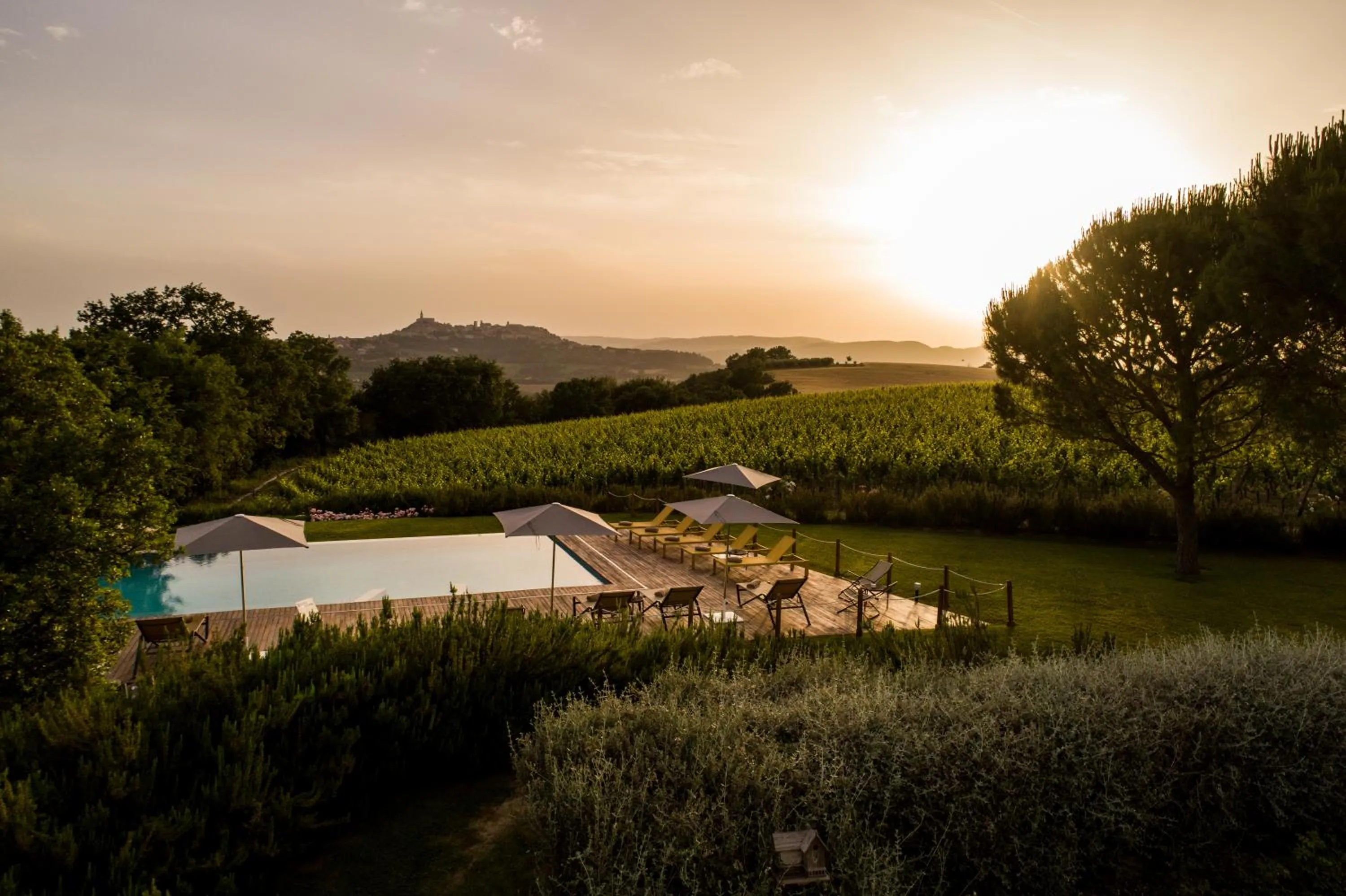 Natural landscape in Roccafiore Wine Resort & Spa