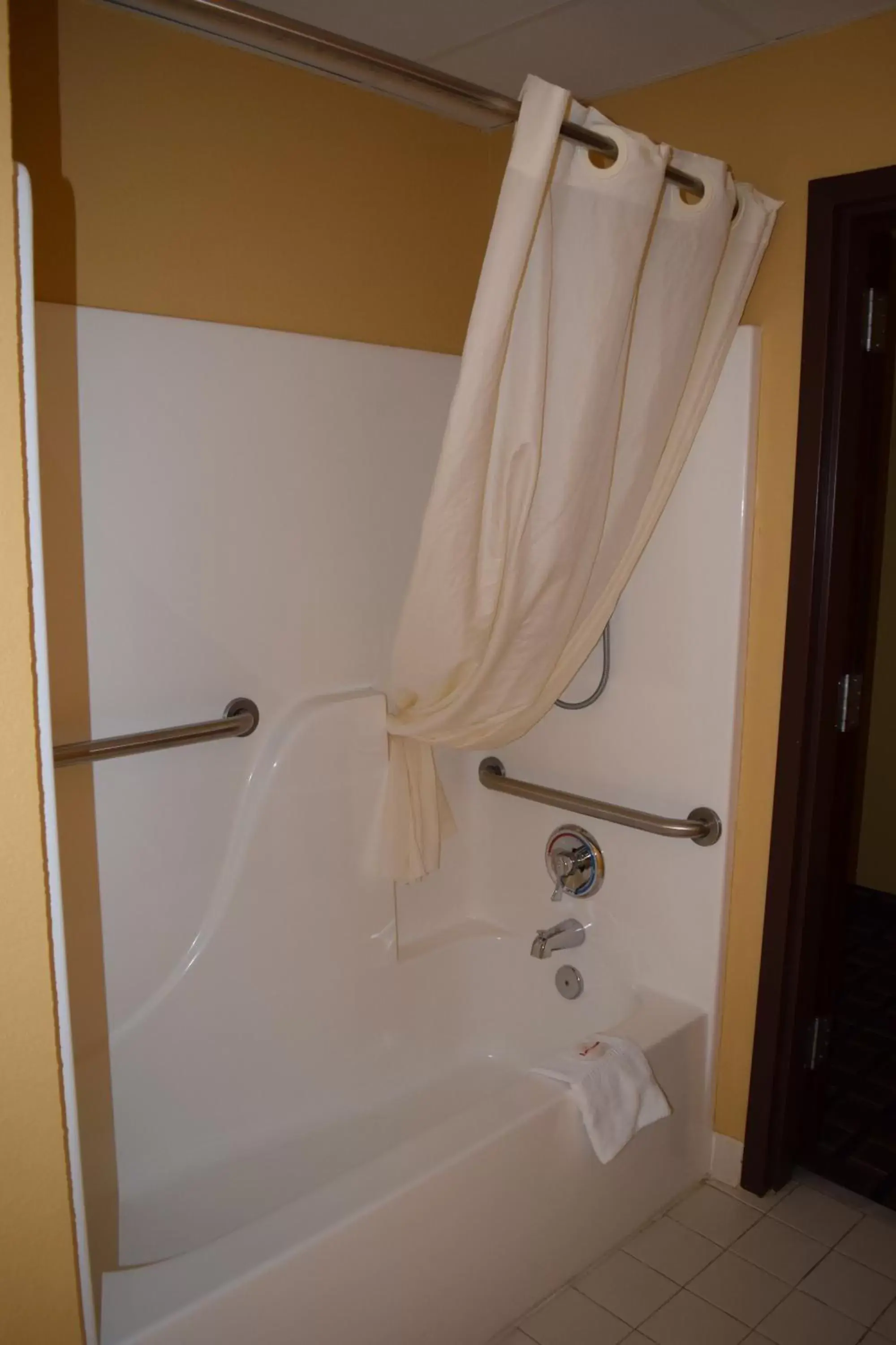 Shower, Bathroom in Microtel Inn & Suites by Wyndham Rock Hill/Charlotte Area