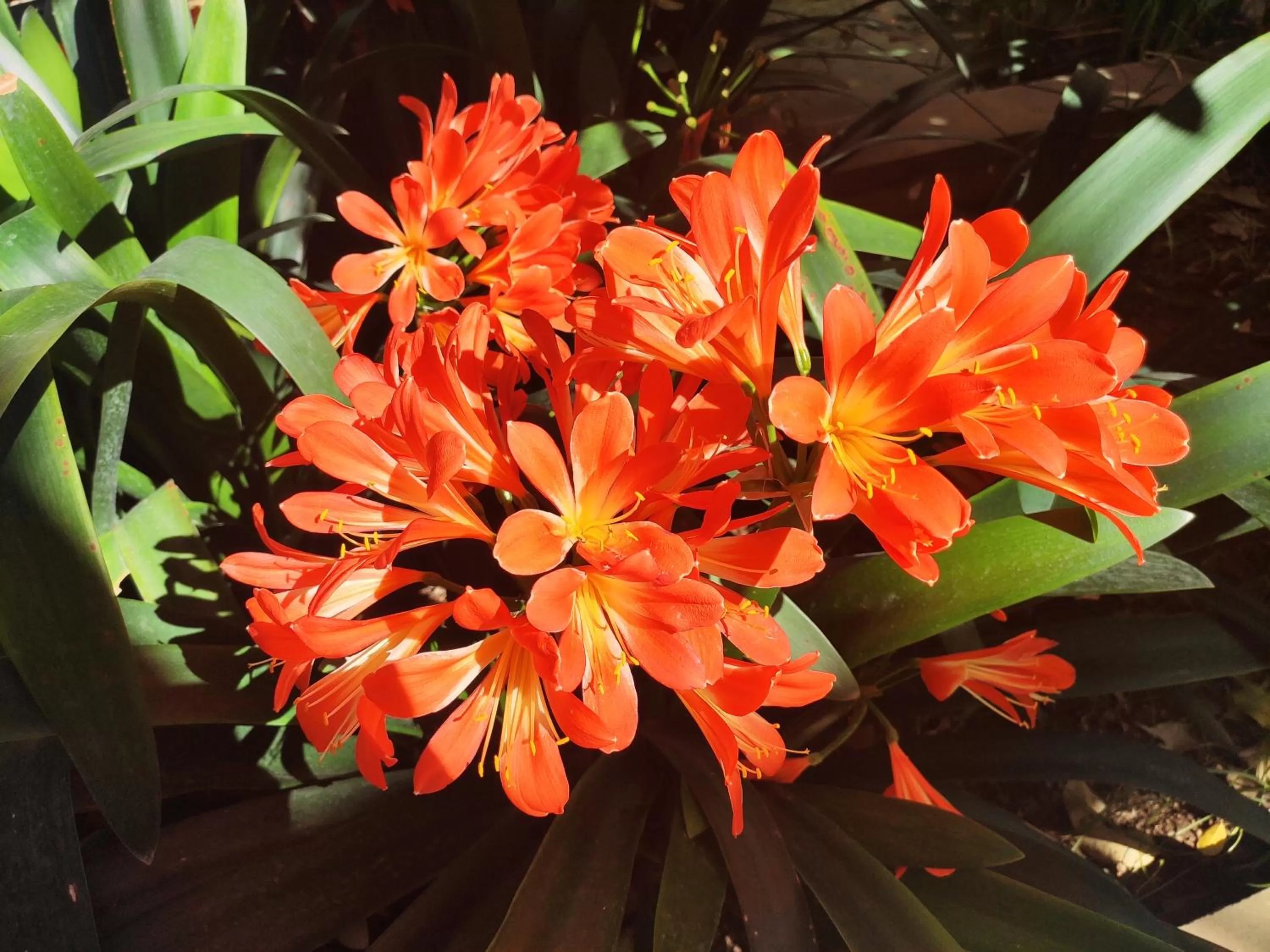 Spring in Hotel Mirador