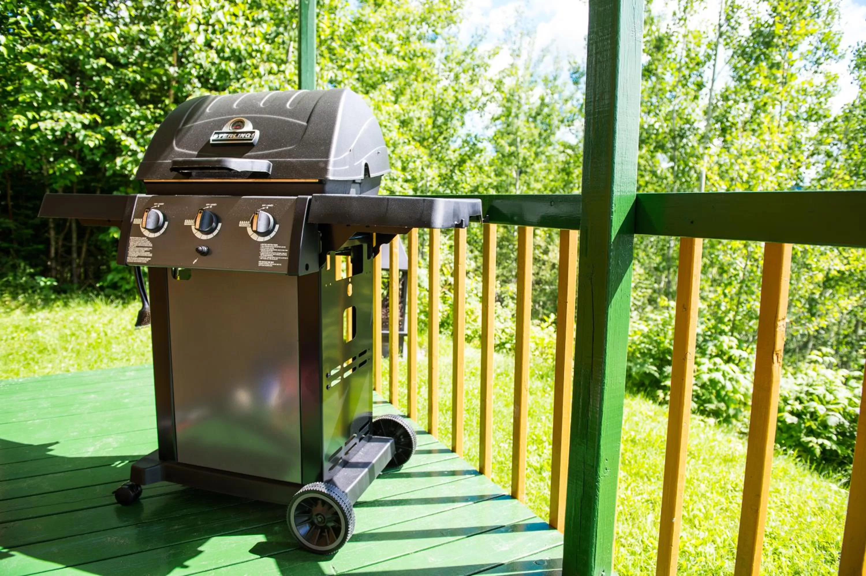 BBQ facilities, Garden View in Auberge Éva