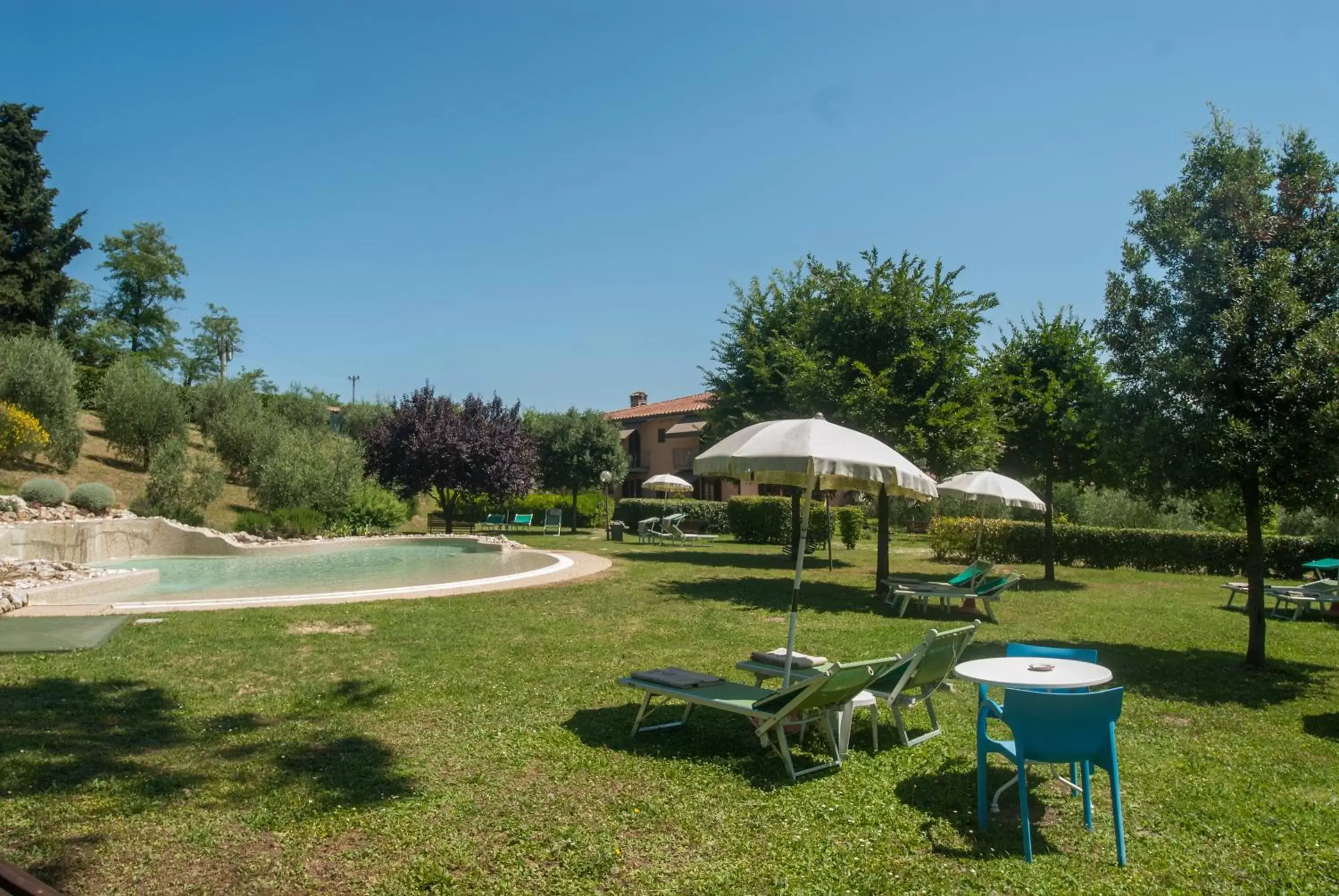 Swimming pool, Garden in Hotel Sovestro