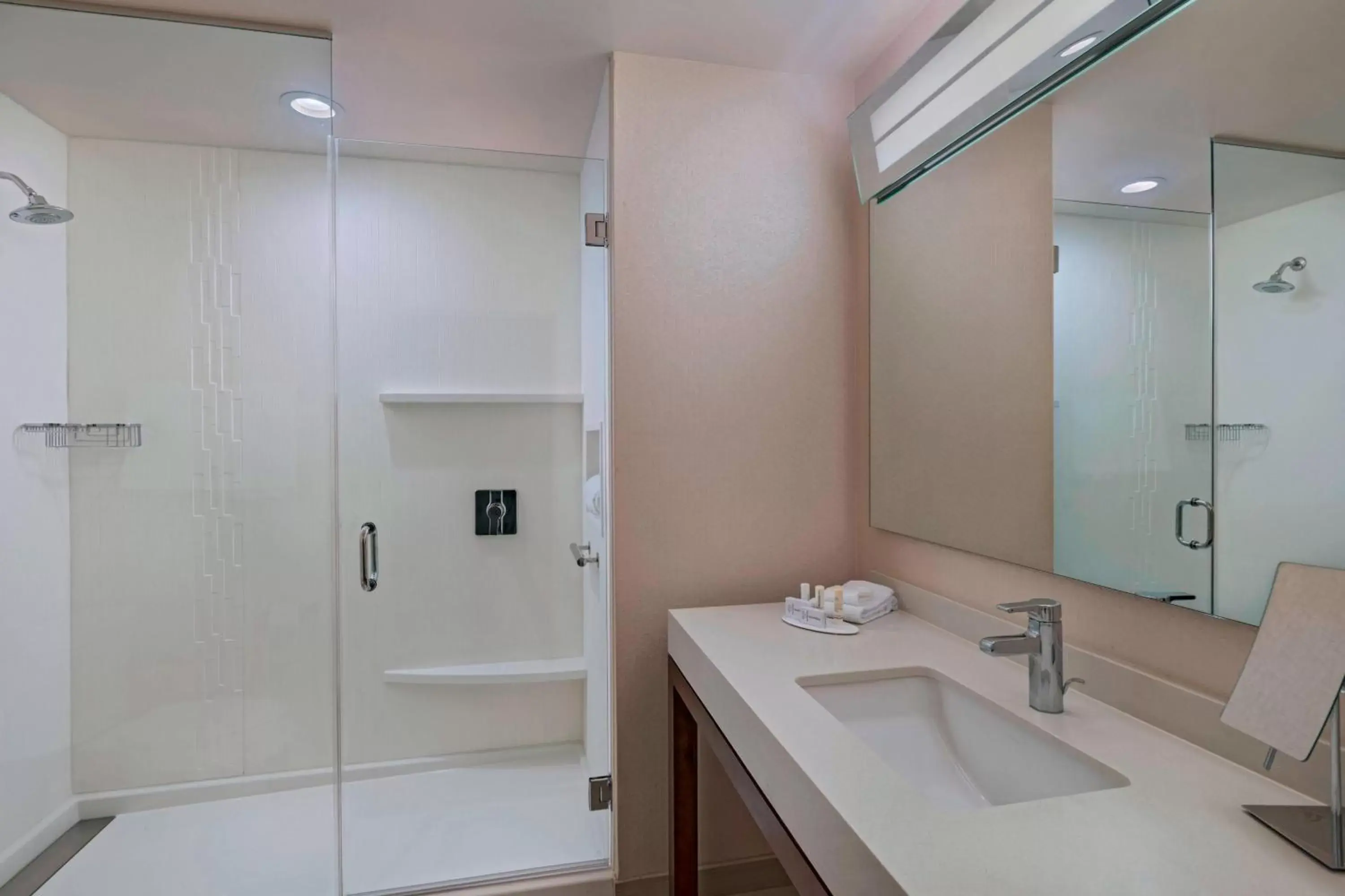 Bathroom in Courtyard by Marriott Houston Sugar Land/Lake Pointe