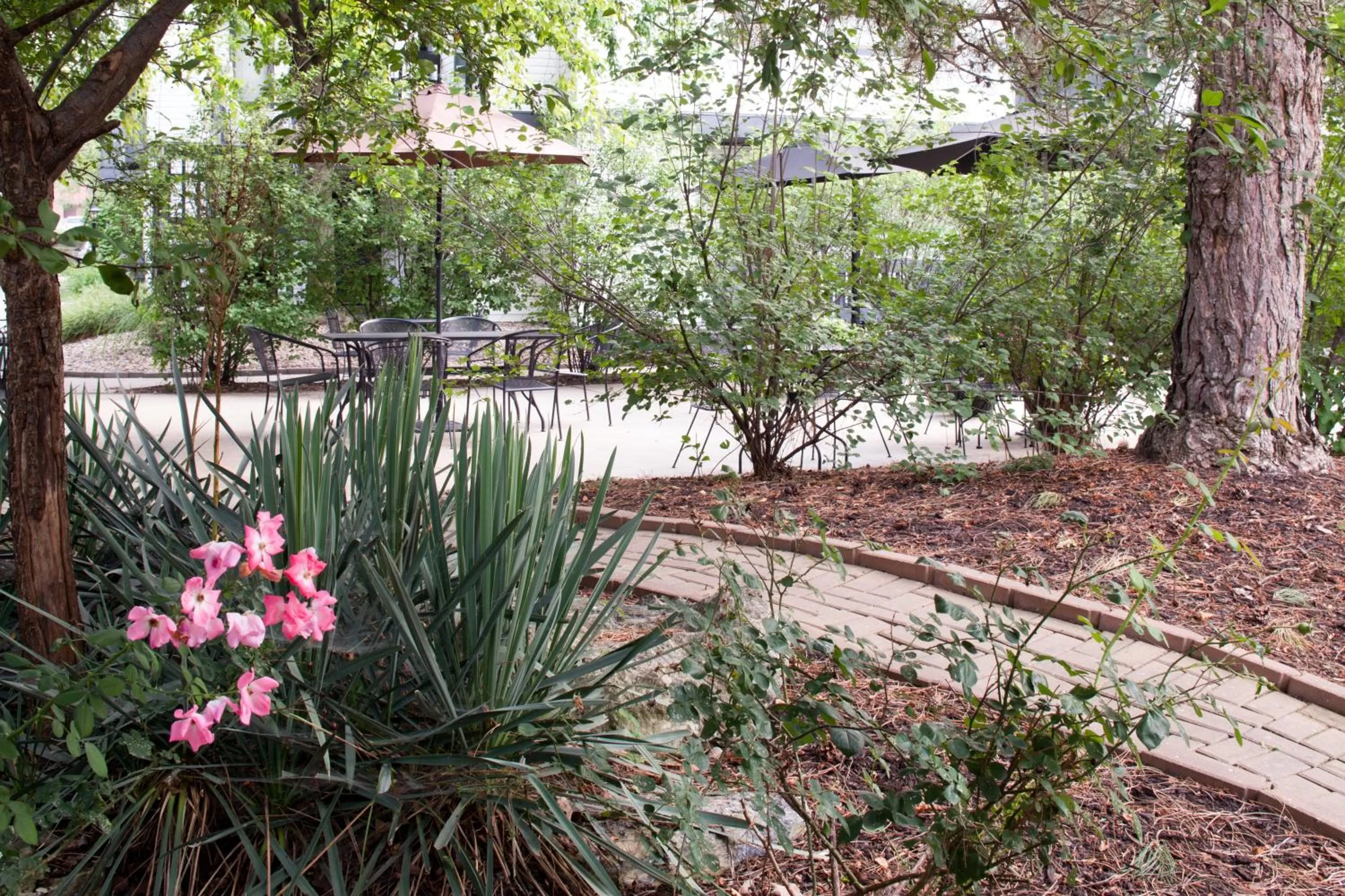 Patio in Annabell Gardens