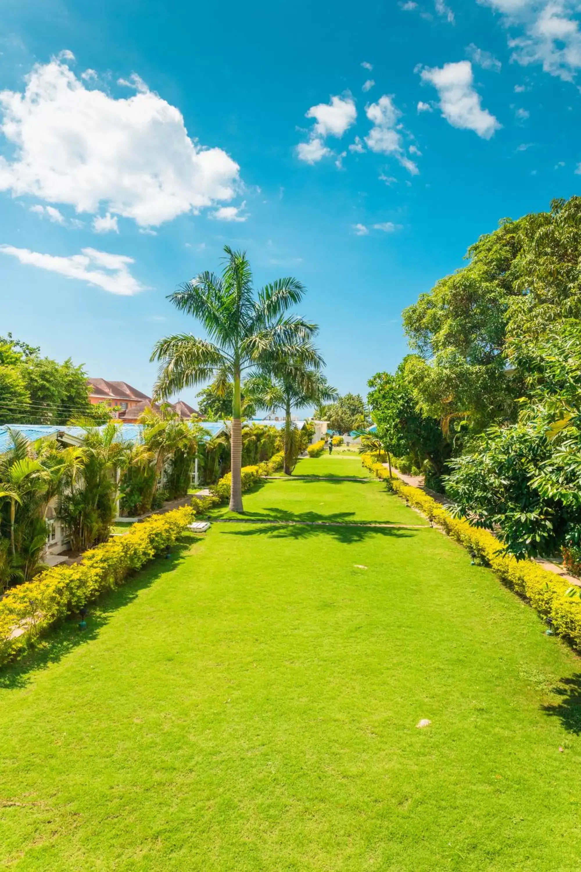 Garden in Travellers Beach Resort