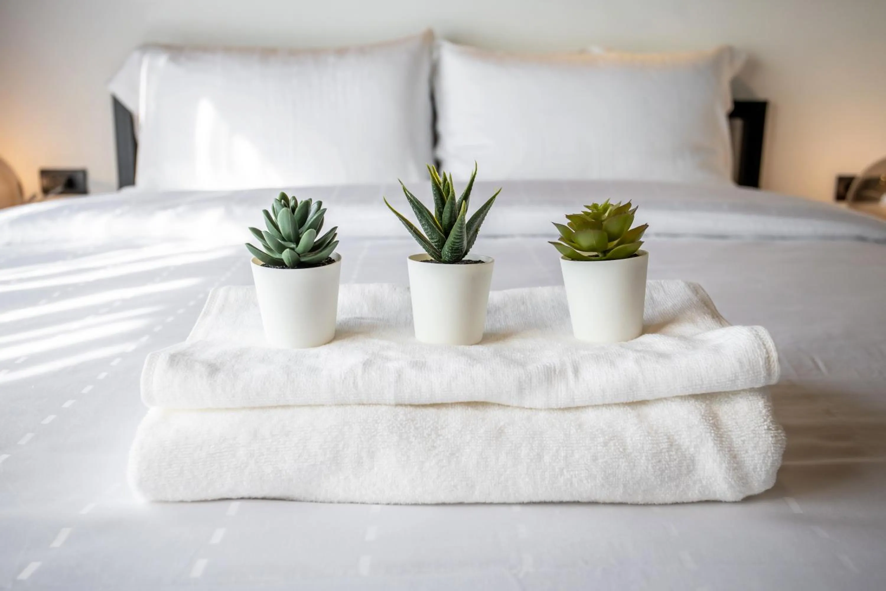 Bedroom, Bed in My Loft Hotel SHA