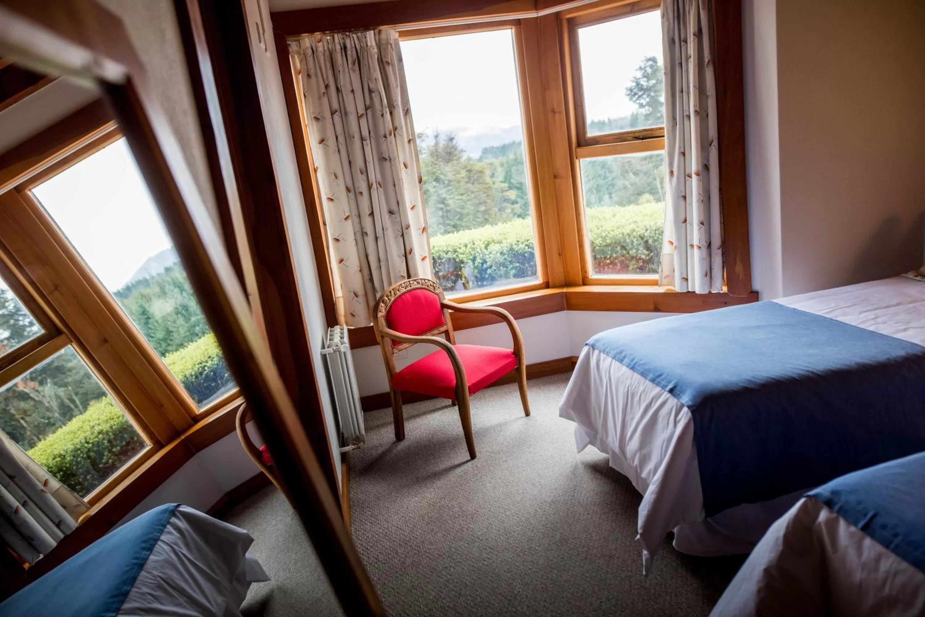 Garden view, View in Amigos del Bosque