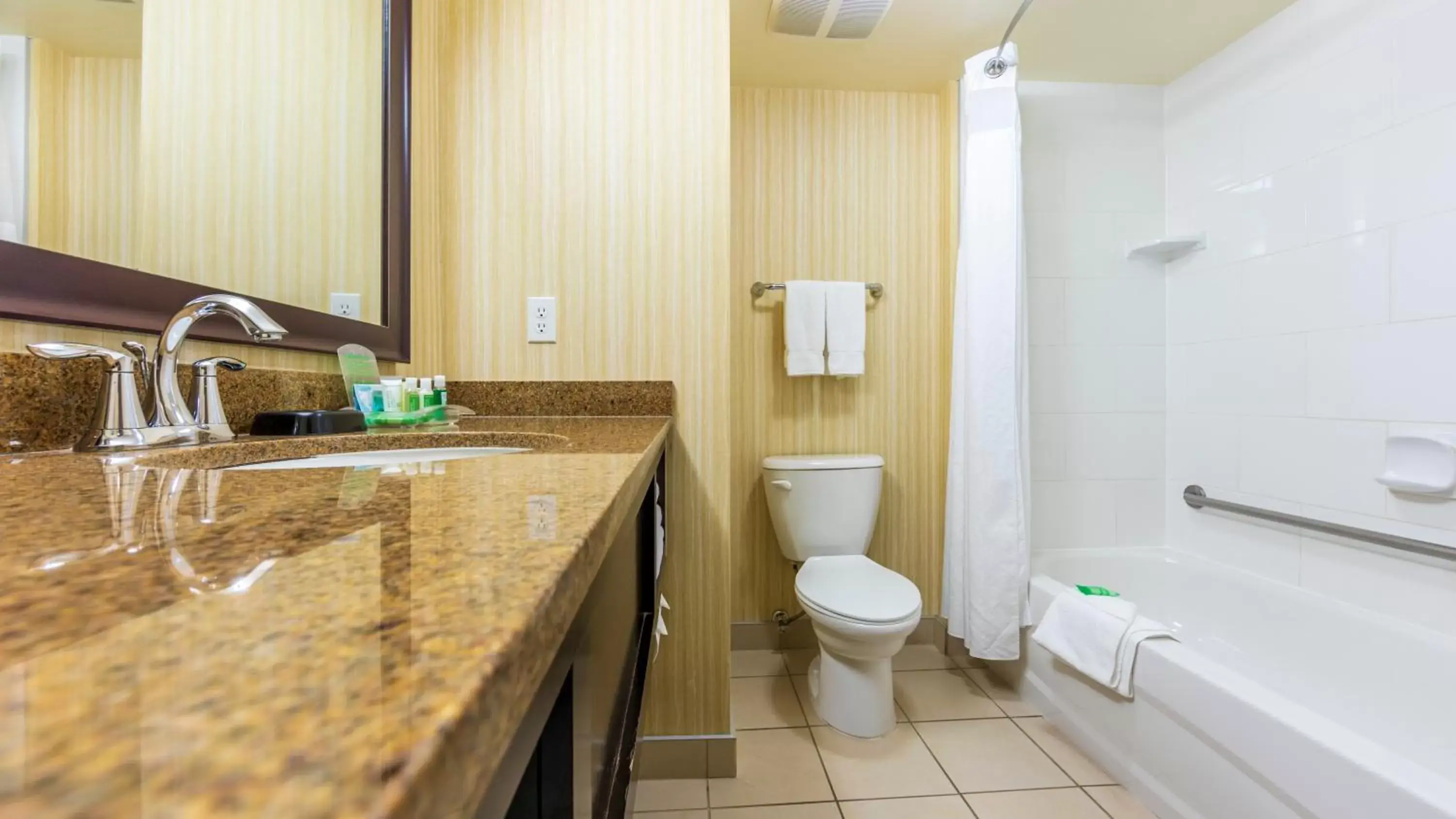 Bathroom in Holiday Inn Hotel and Suites-Kamloops, an IHG Hotel