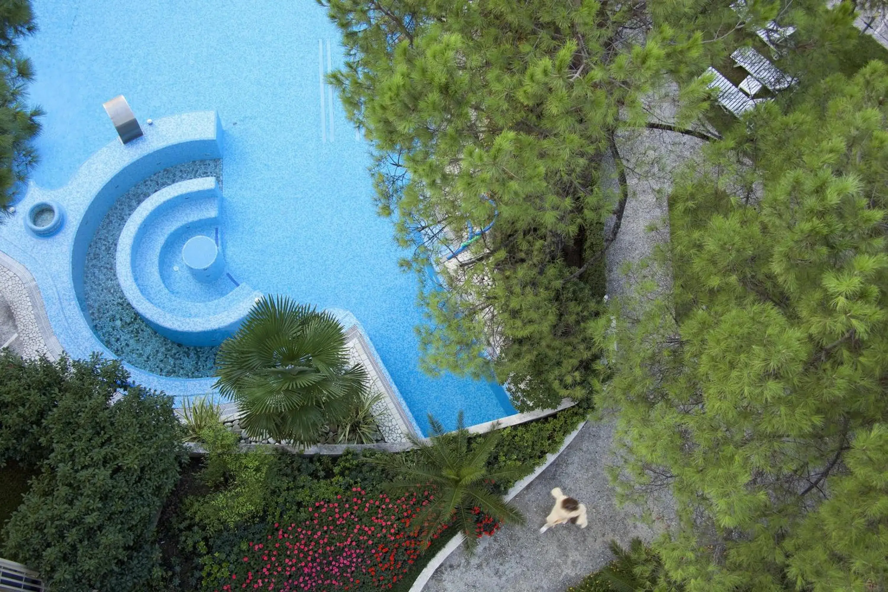 Pool view, Bird's-eye View in Hotel Bristol Buja