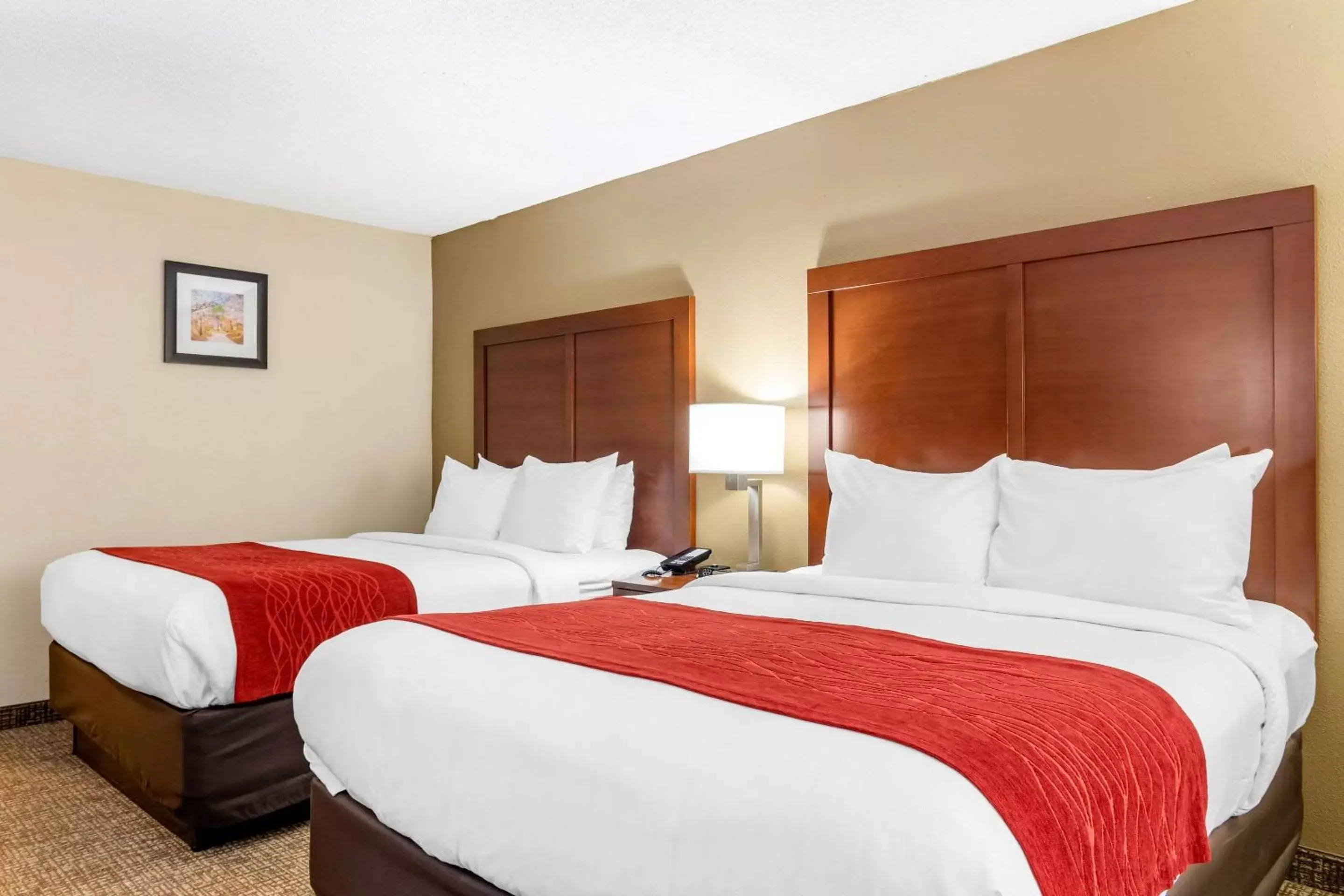 Bedroom, Bed in Comfort Inn & Suites Macon North I-75