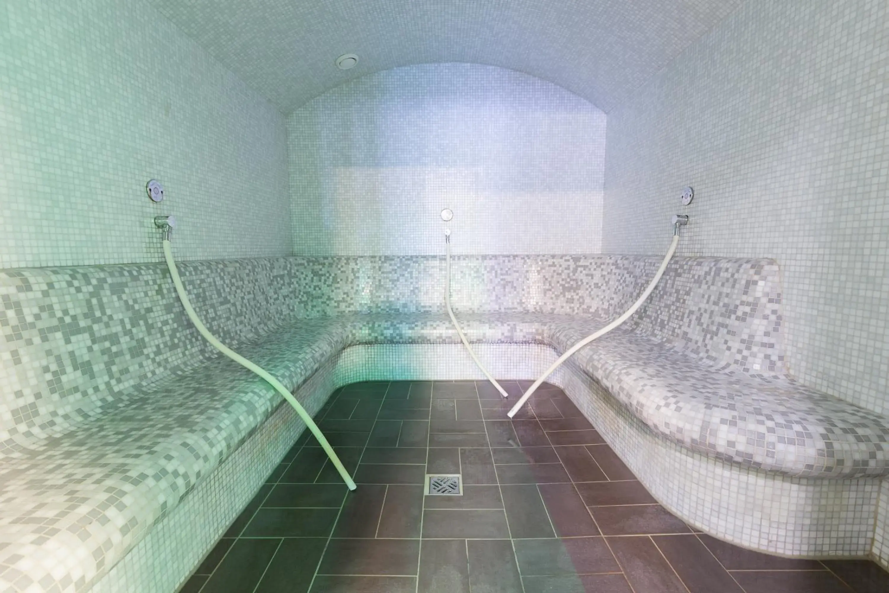 Steam room, Swimming Pool in Fletcher Wellness-Hotel Stadspark