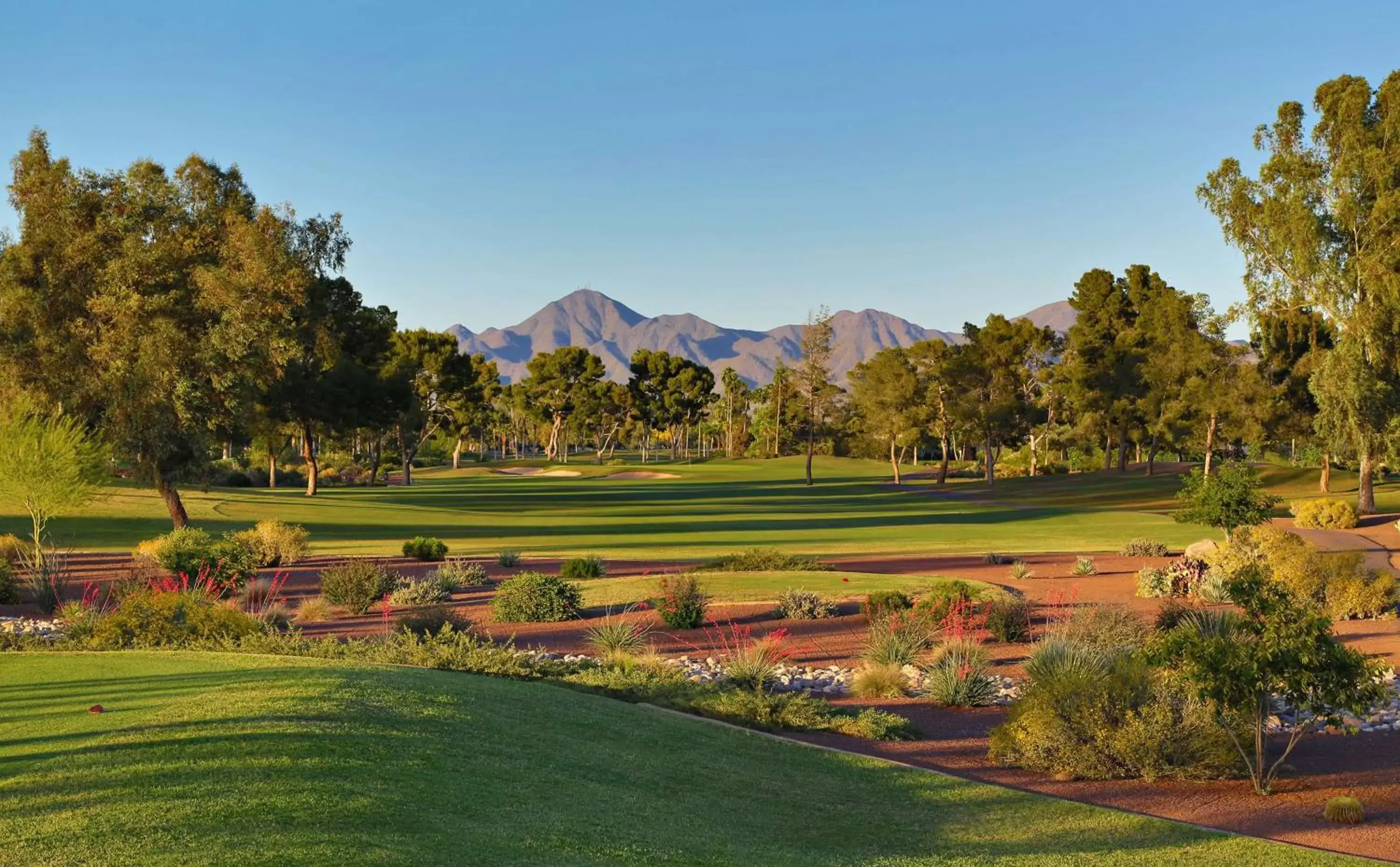 Sports in The Scottsdale Resort at McCormick Ranch