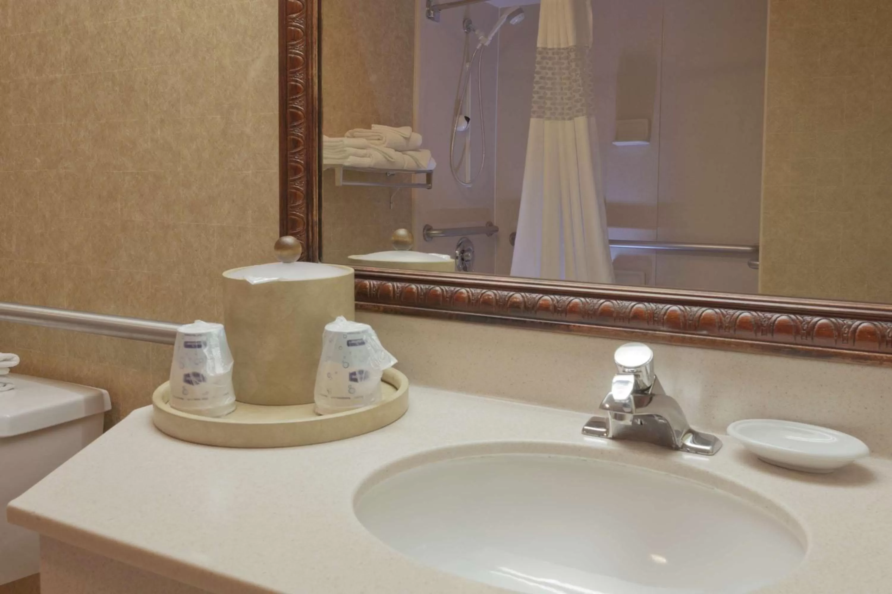 Bathroom in Hampton Inn Las Vegas/Summerlin