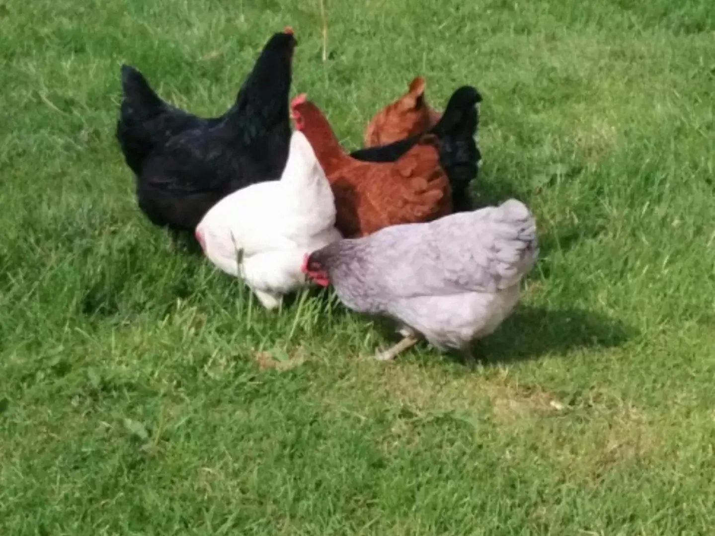 Other in Manorview B&B Other in Manorview B&B