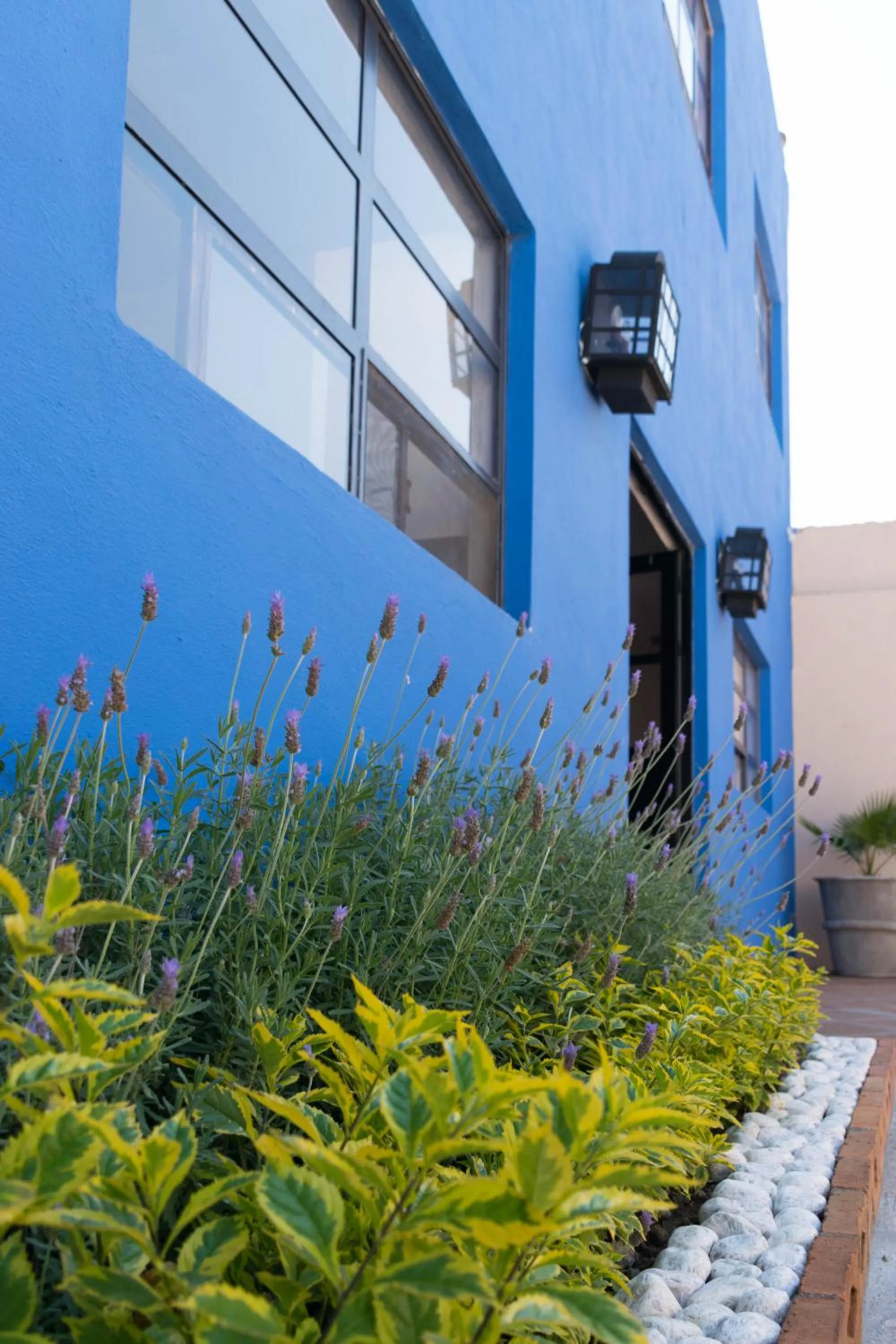 Decorative detail in Hotel Casa Santamaría
