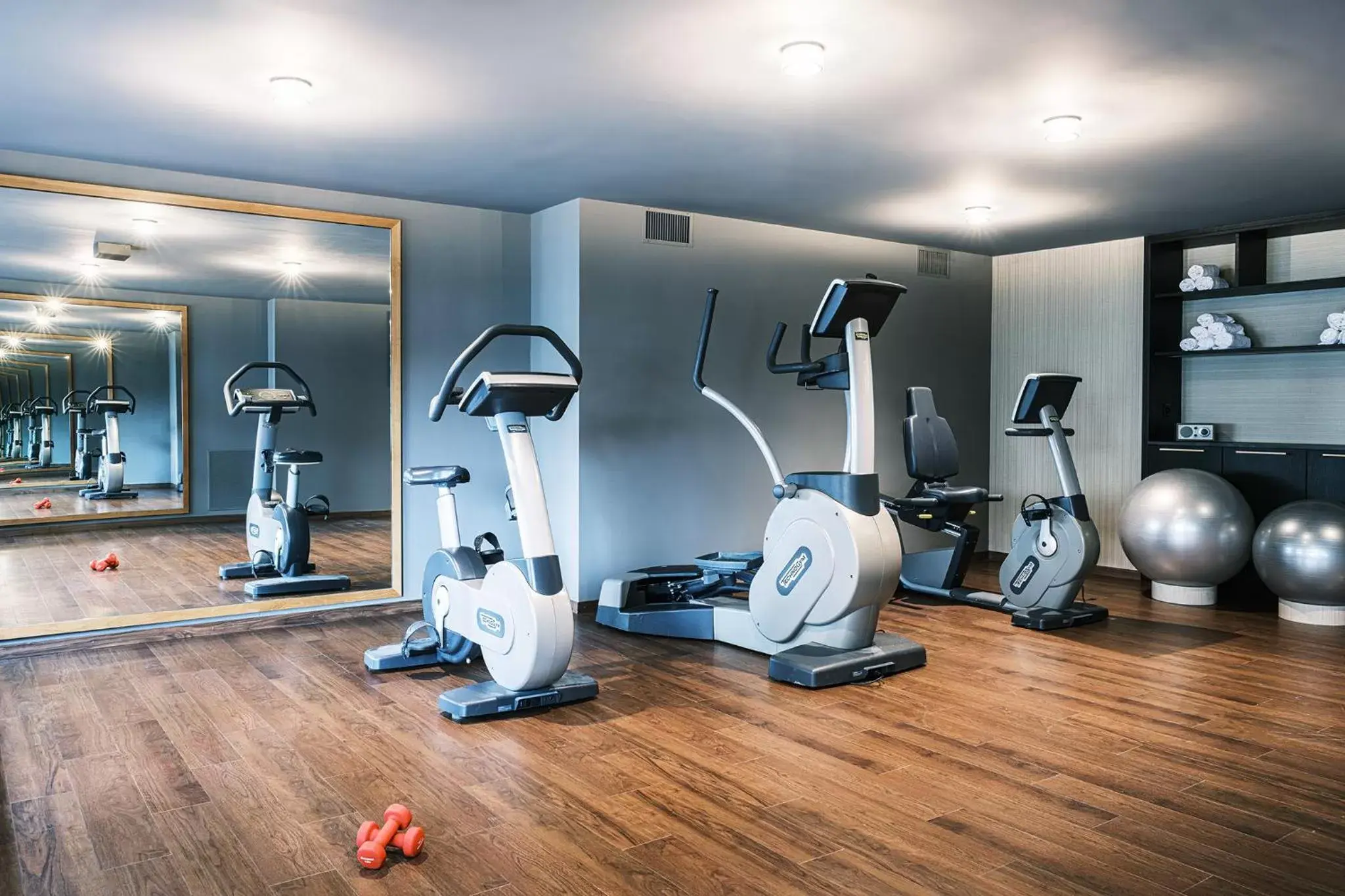 Fitness centre/facilities, Fitness Center/Facilities in AMERON Zürich Bellerive au Lac