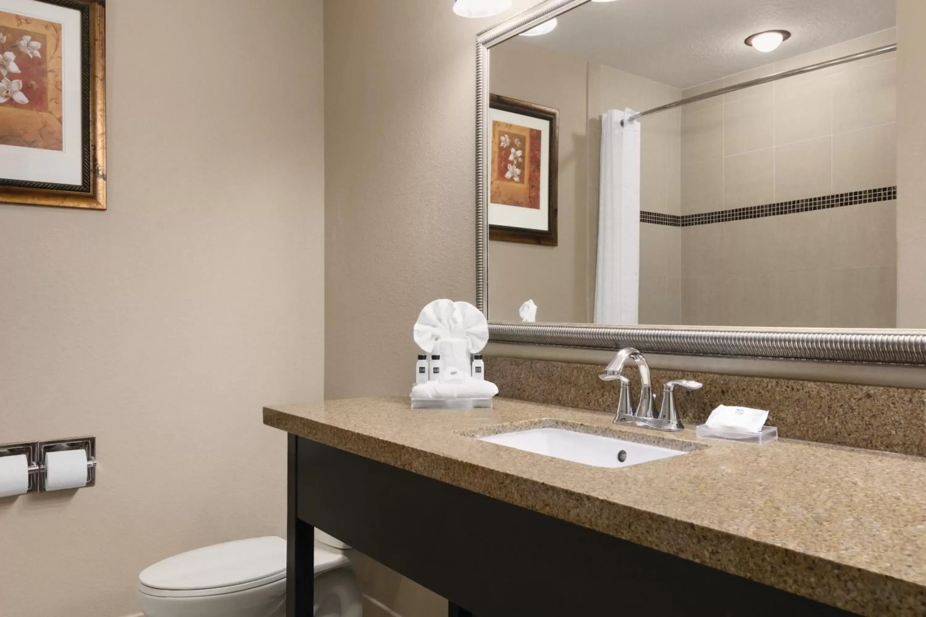 Bathroom in Country Inn & Suites by Radisson, Tampa Airport North, FL