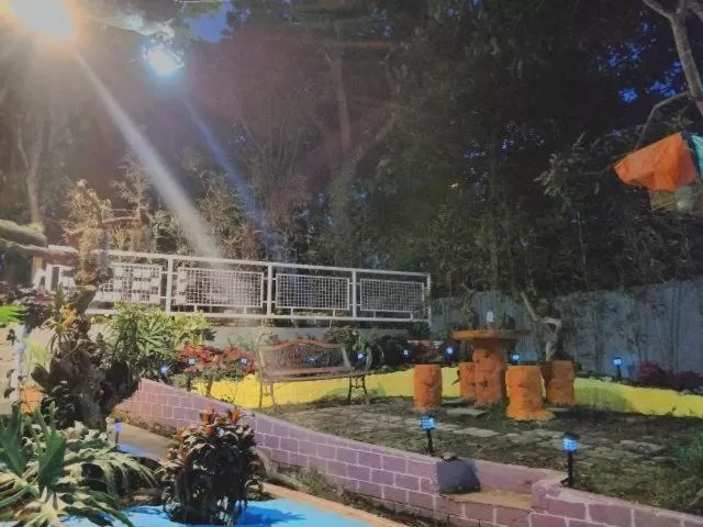 Garden in Purple Orchid Bed and Breakfast