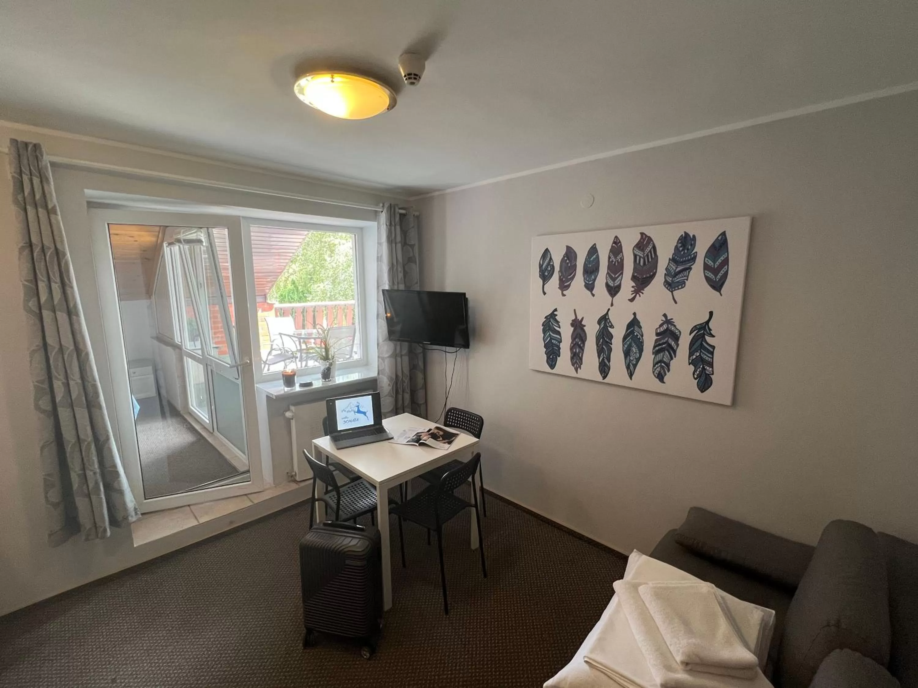 TV and multimedia, Bed in Willa Sonata - Apartamenty & Balia - Szklarska Poręba