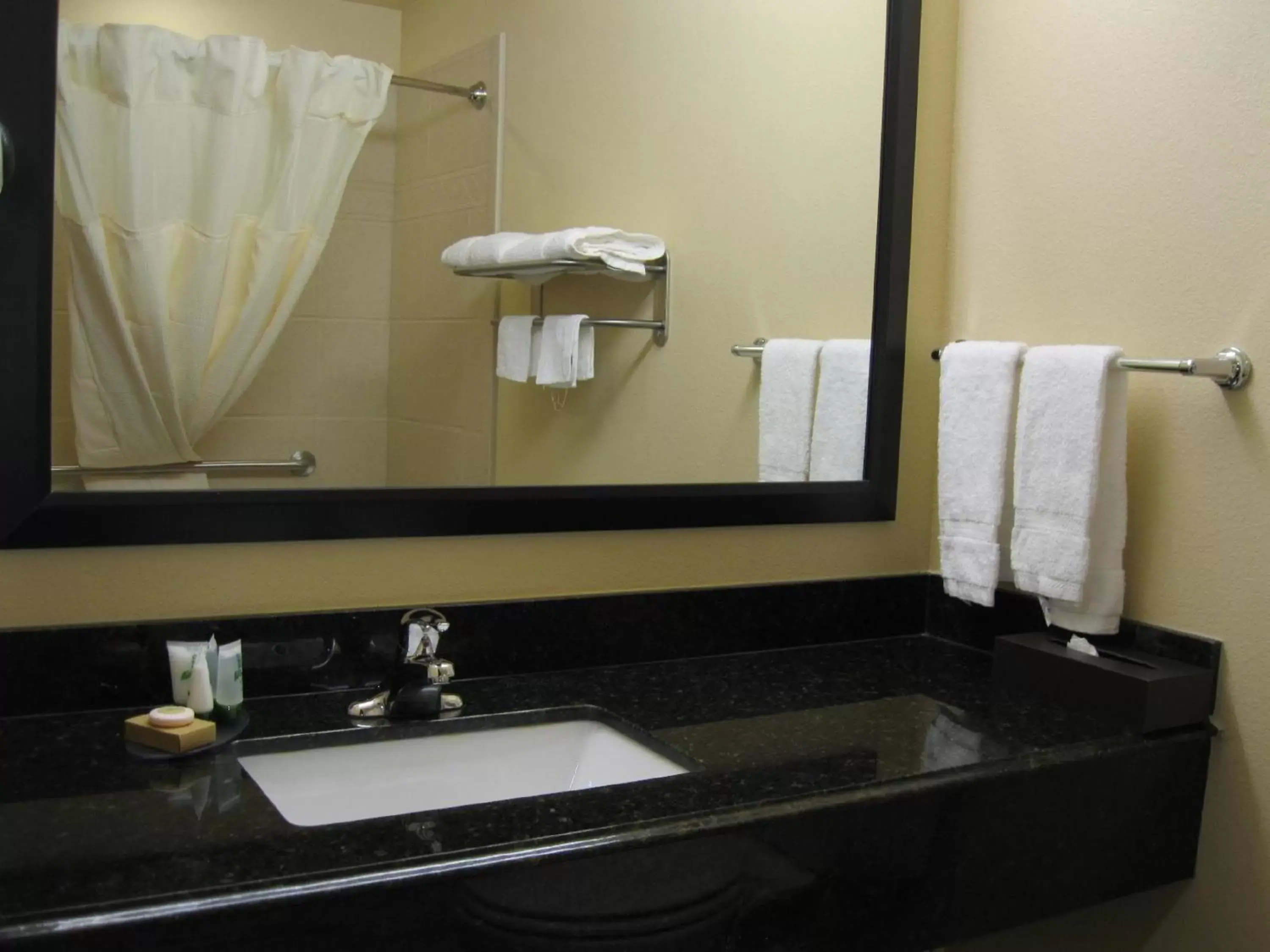 Bathroom in Best Western Plus Goliad Inn & Suites