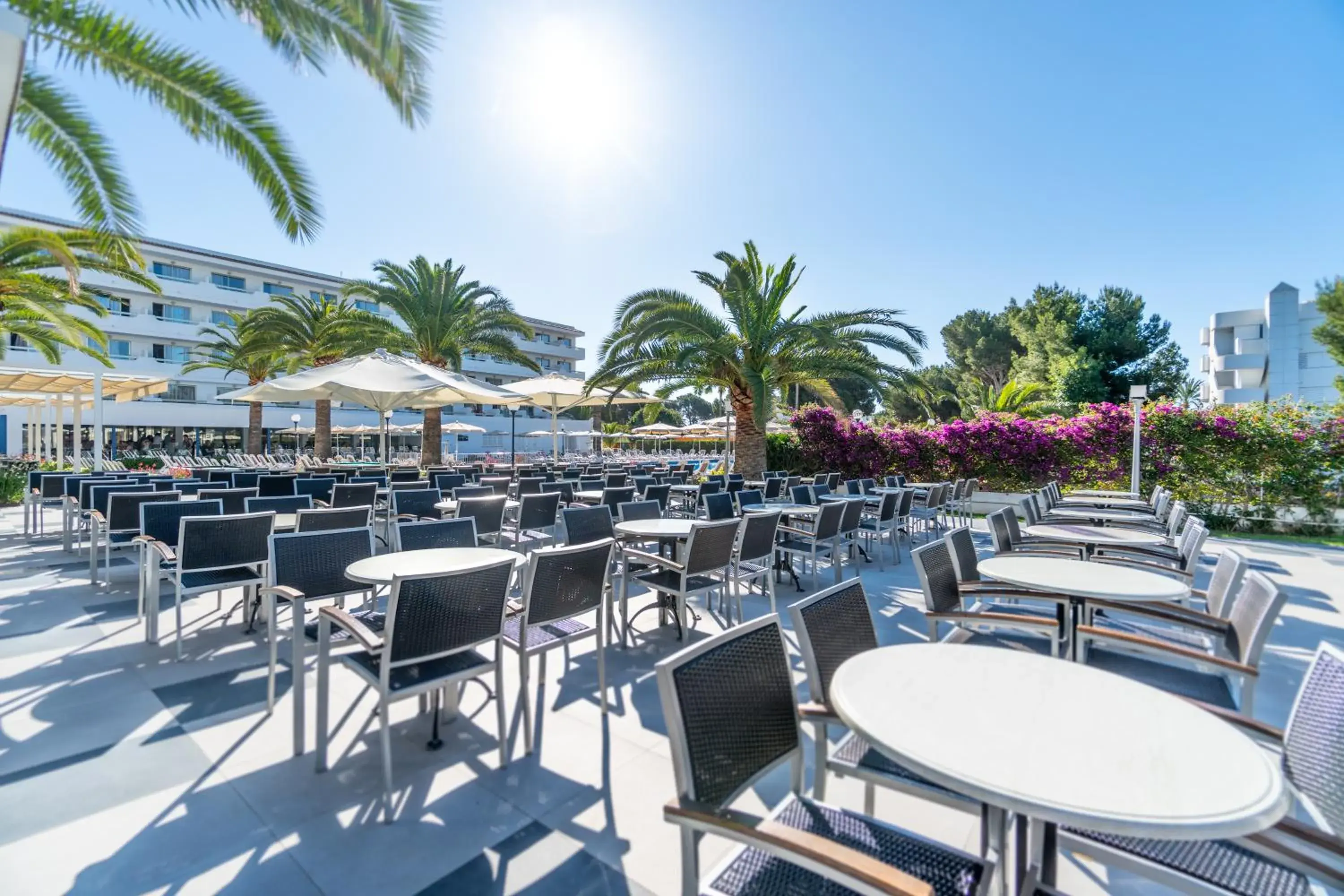 Balcony/Terrace in Hotel Millor Sol