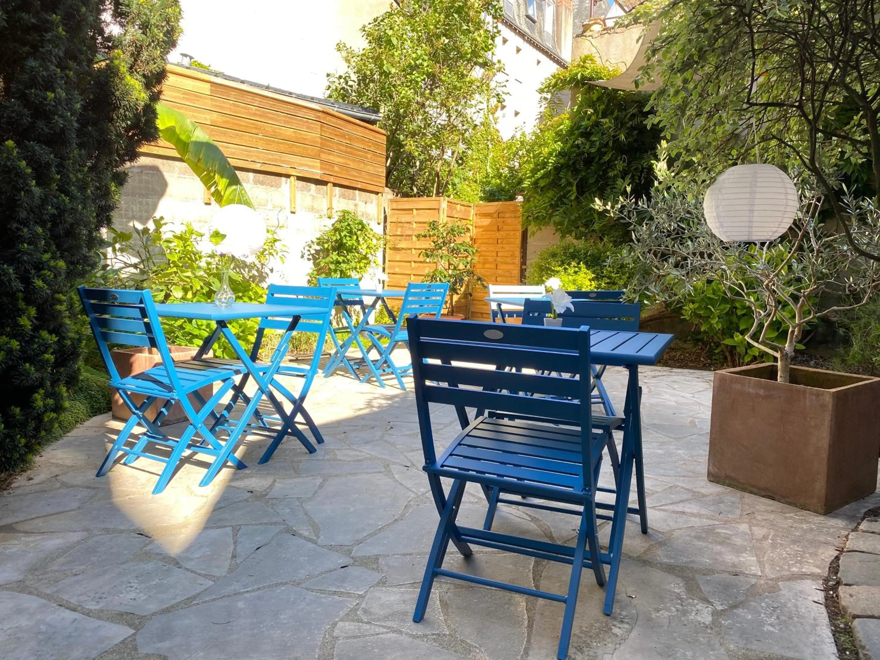 Patio in Hotel Colbert