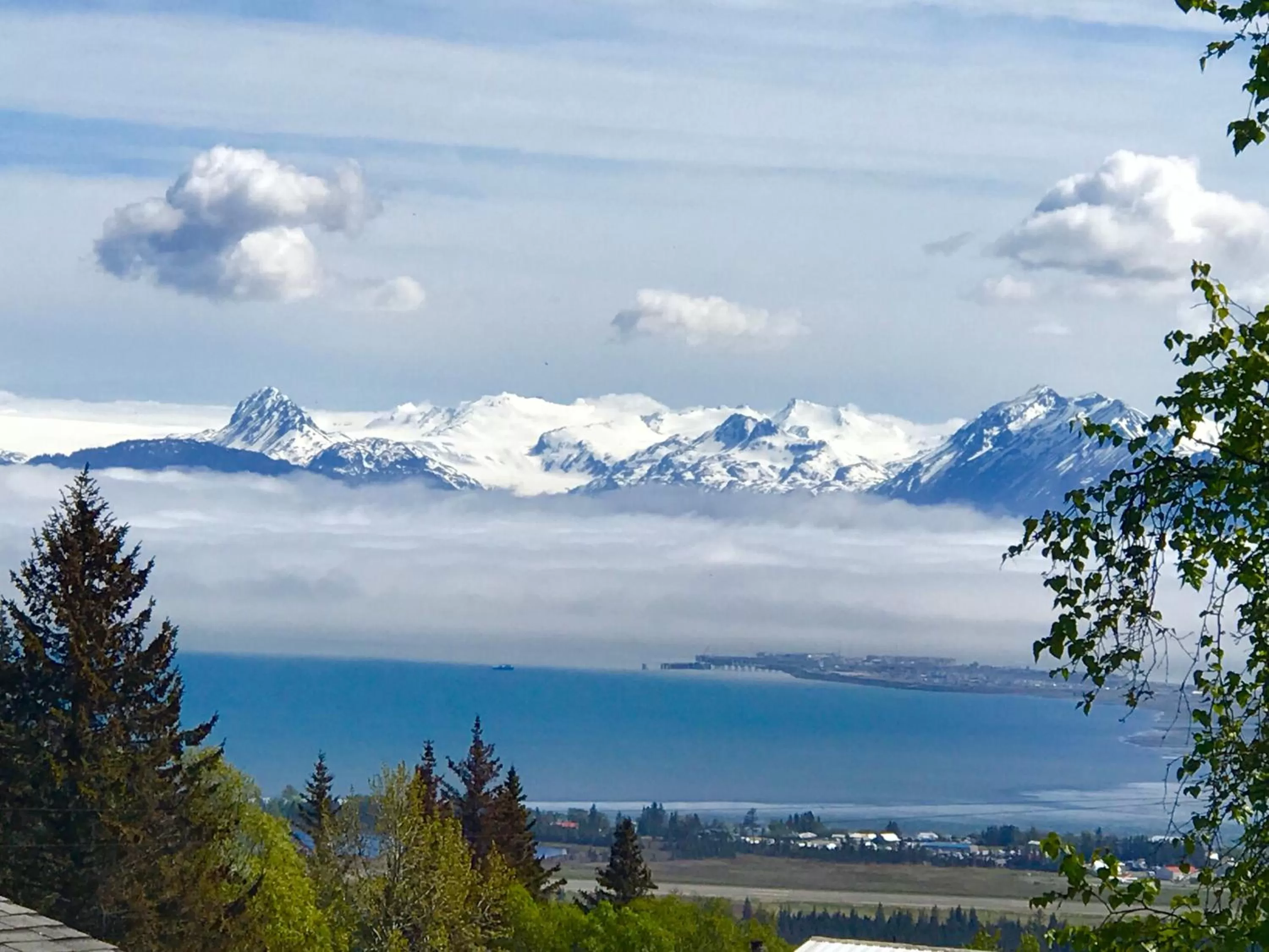 Natural landscape in Halcyon Heights B&B/Inn