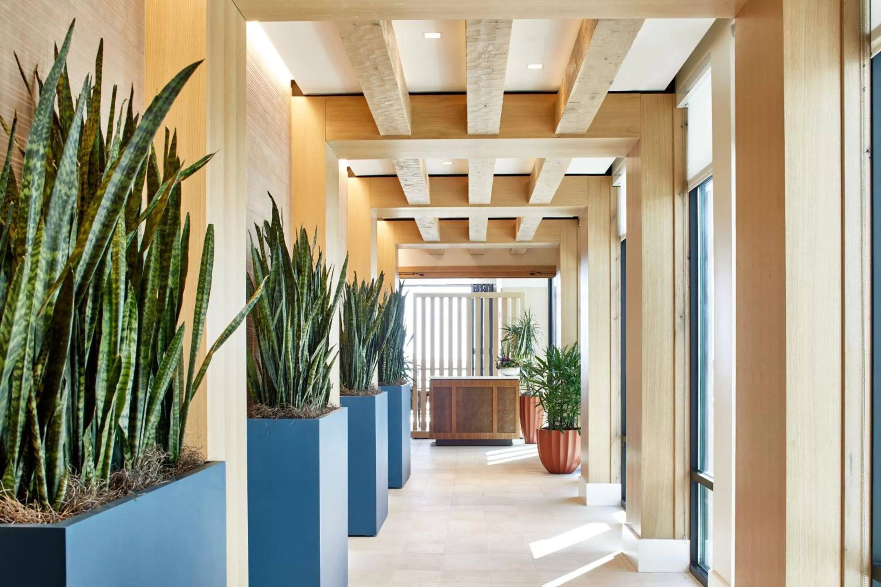 Lounge or bar in SpringHill Suites by Marriott Jacksonville Beach Oceanfront