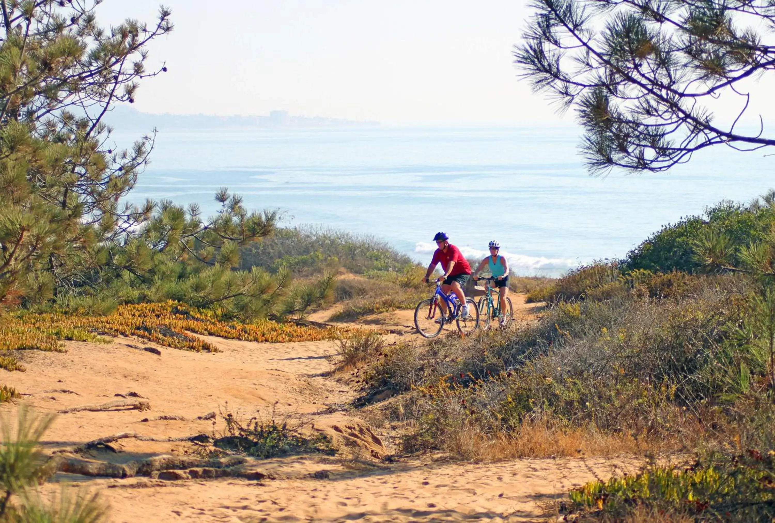 Off site, Biking in Hyatt House San Diego Sorrento Mesa