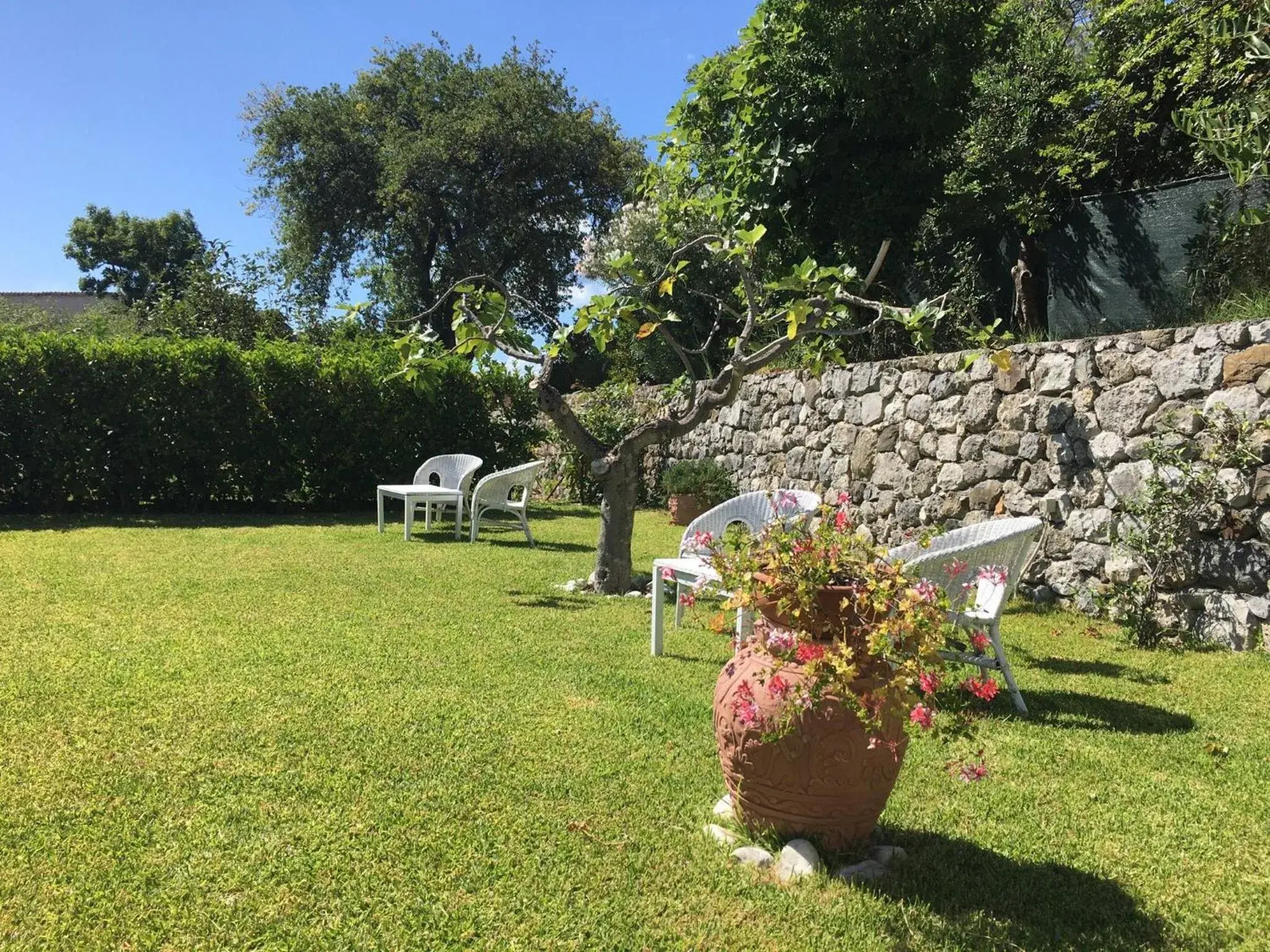 Garden in Hotel Murmann