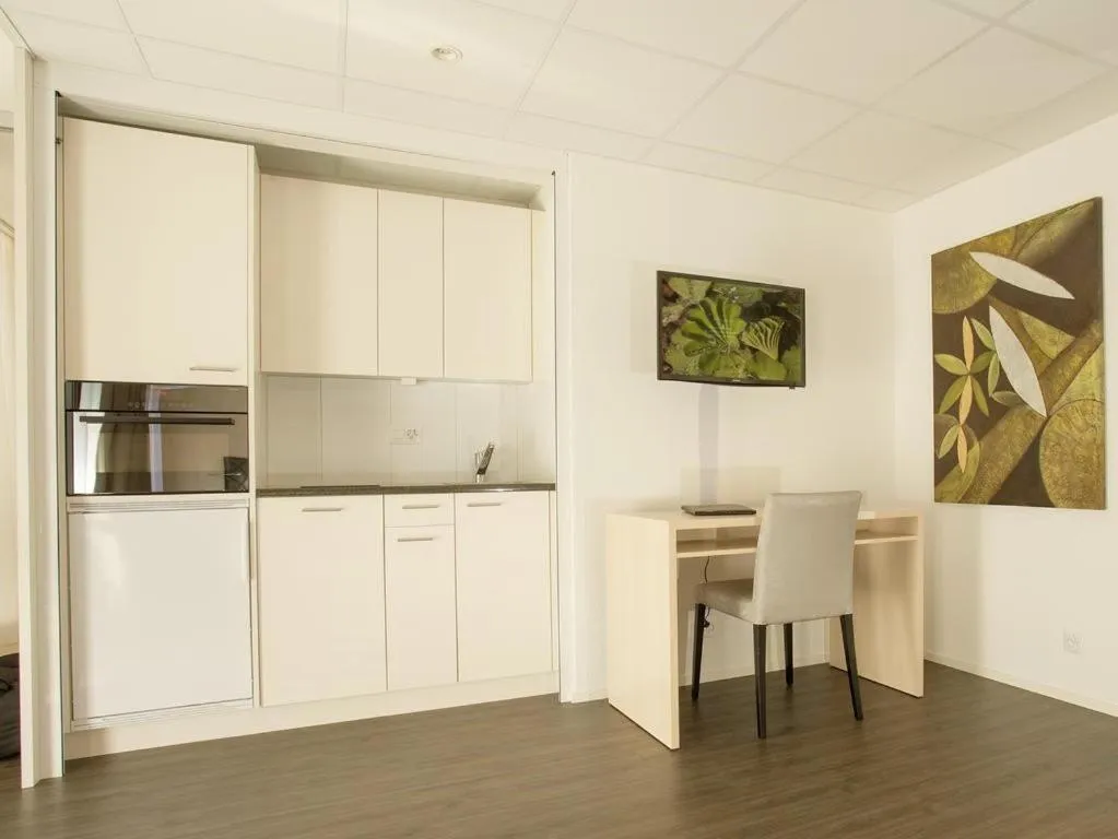 Kitchen or kitchenette, Kitchen/Kitchenette in Hotel Hine Adon Bern Airport